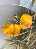 Créole dorée 3 pétales rose jaune