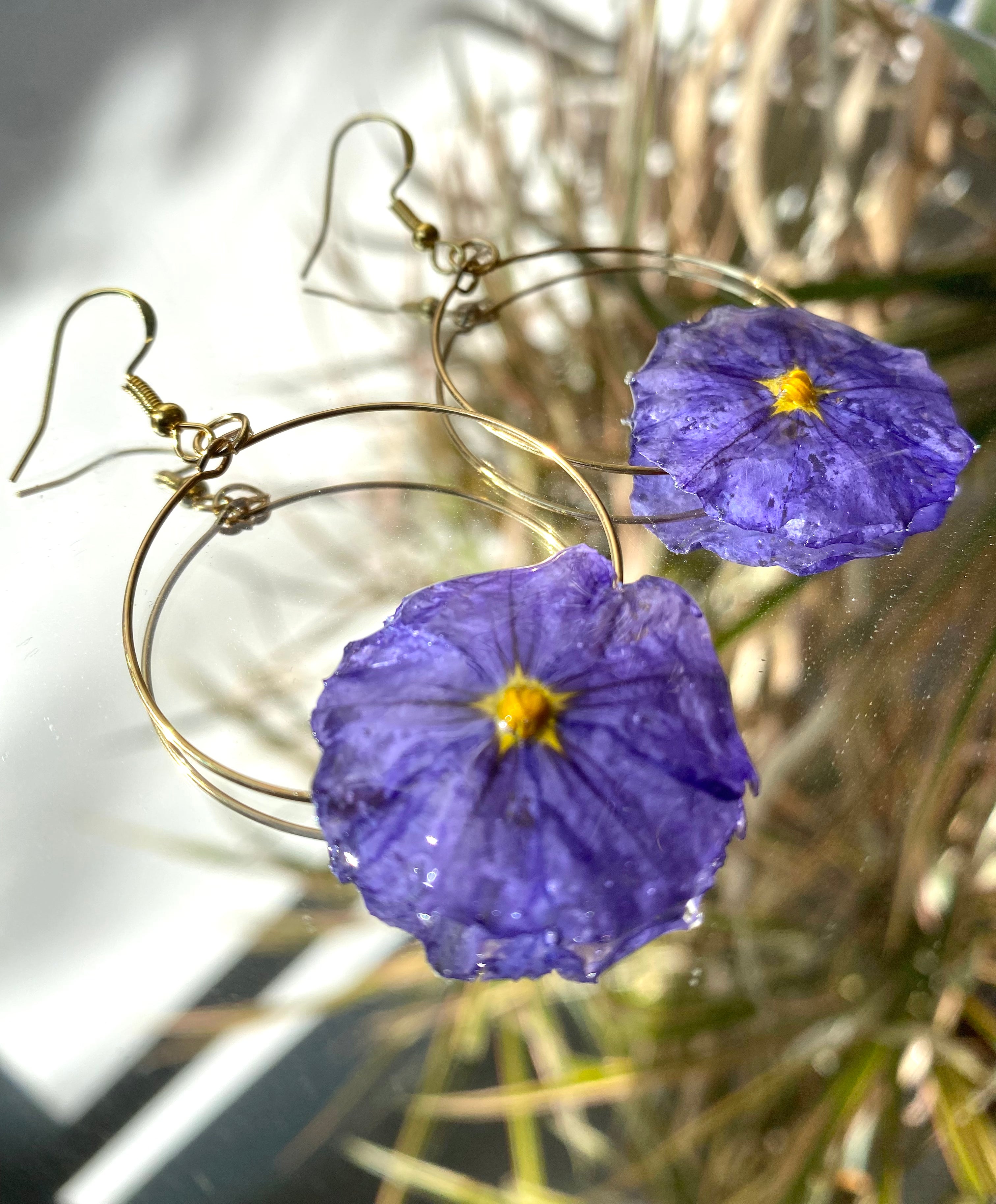 Créole dorée Fleur Solanum violette