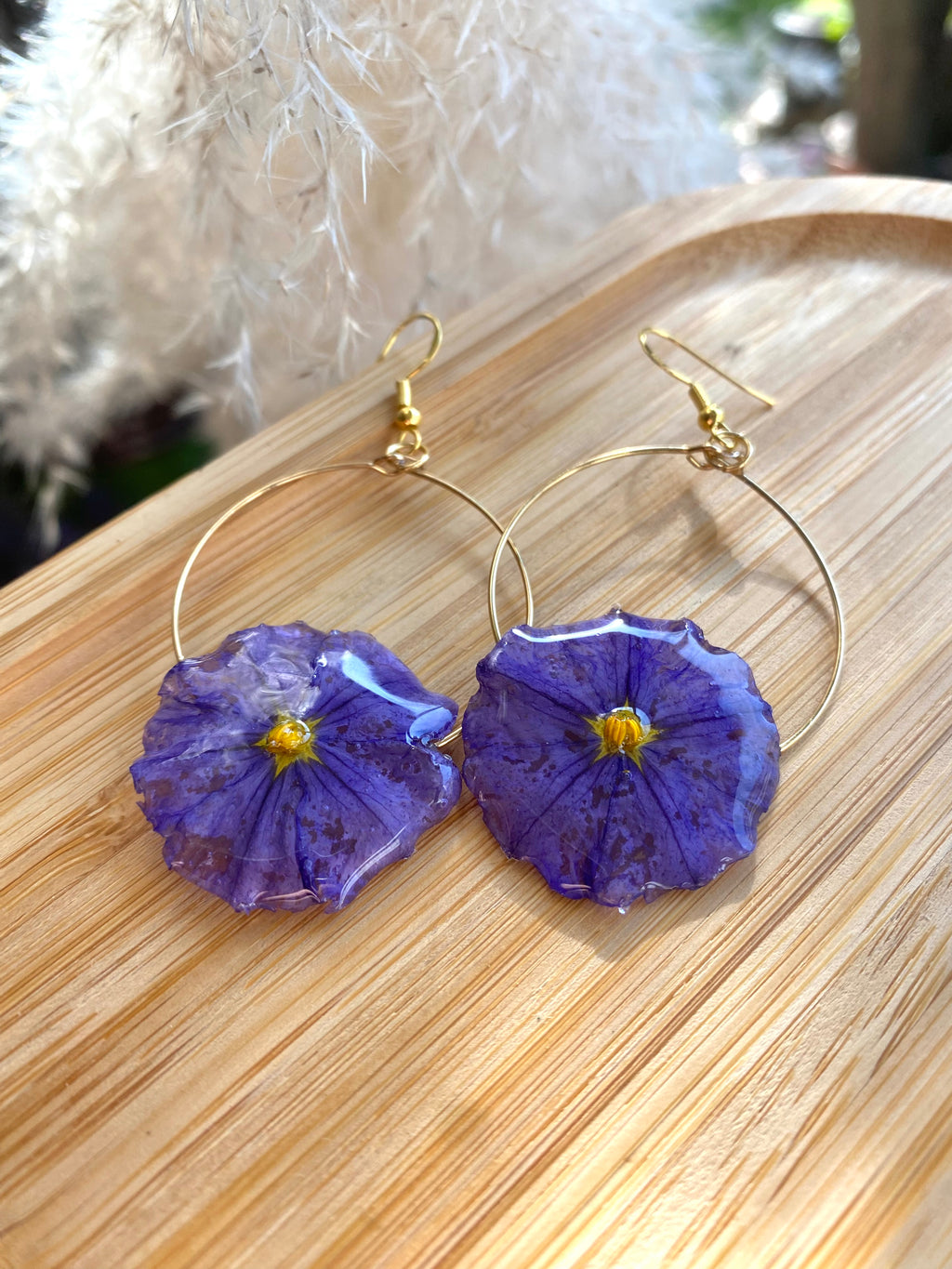 Créole dorée Fleur Solanum violette