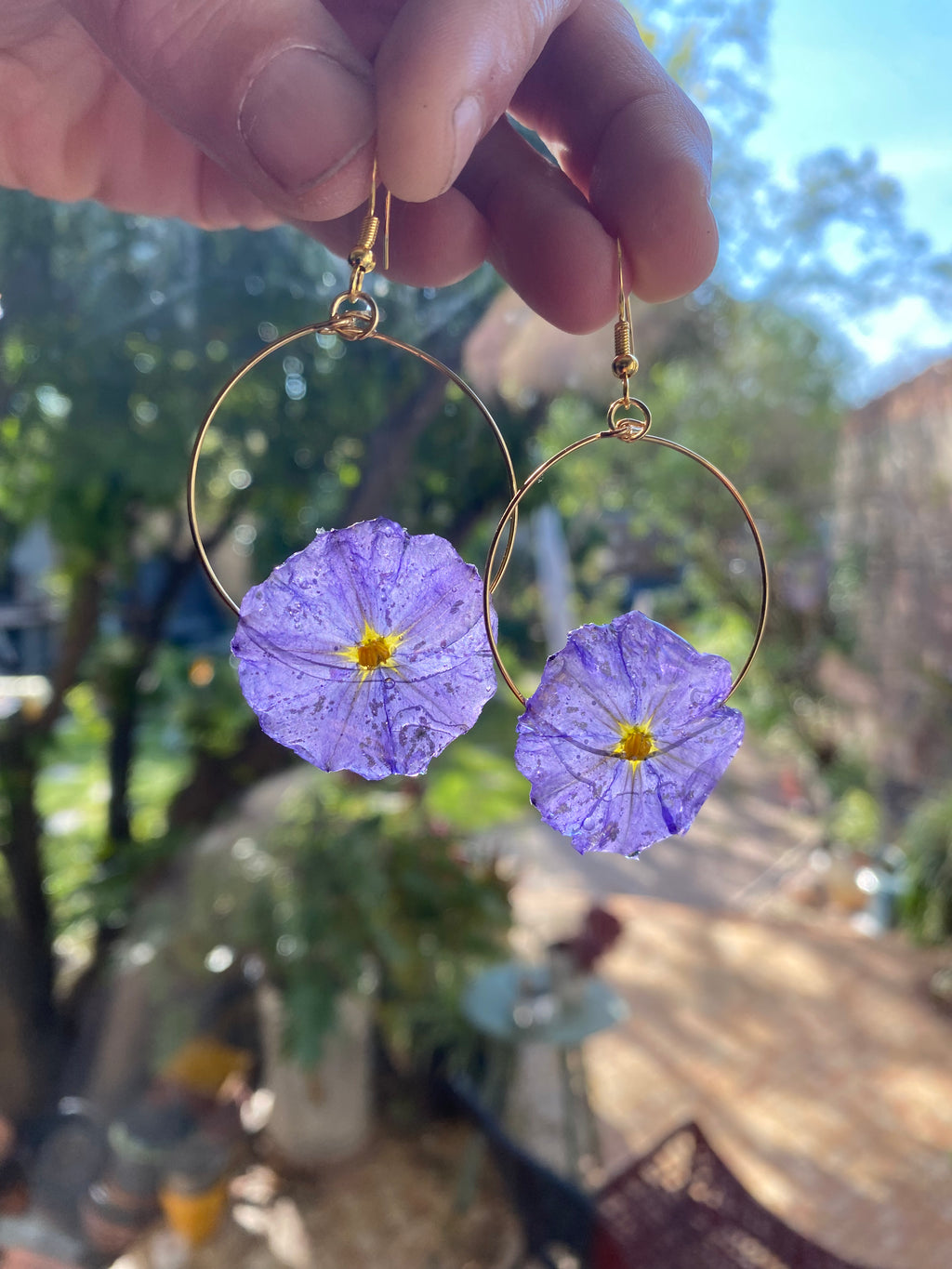 Créole dorée Fleur Solanum violette