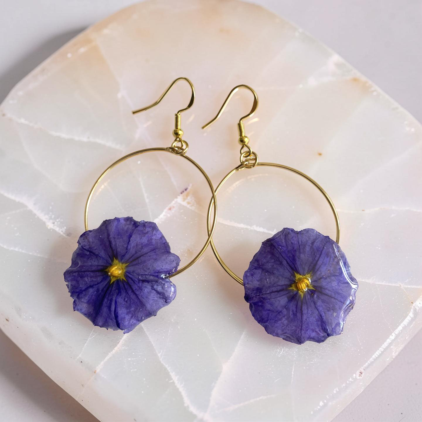 Créole dorée Fleur Solanum violette