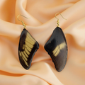 Boucle papillon véritable jaune et noir