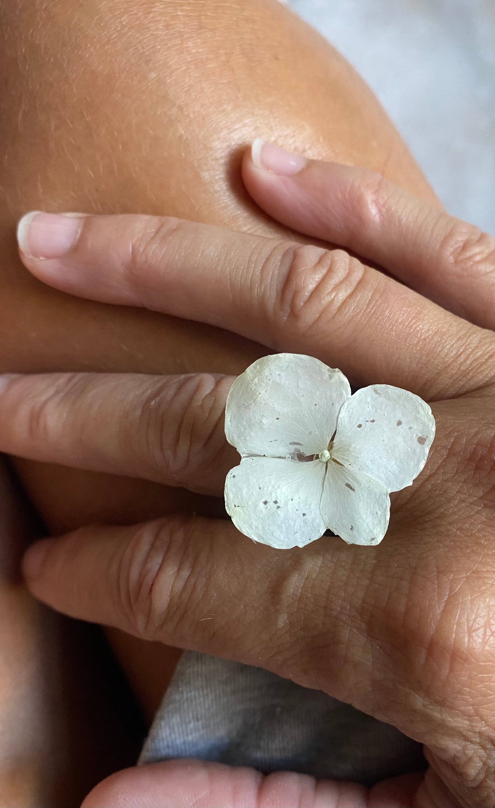 Bague grande Fleur d'Hortensia blanche