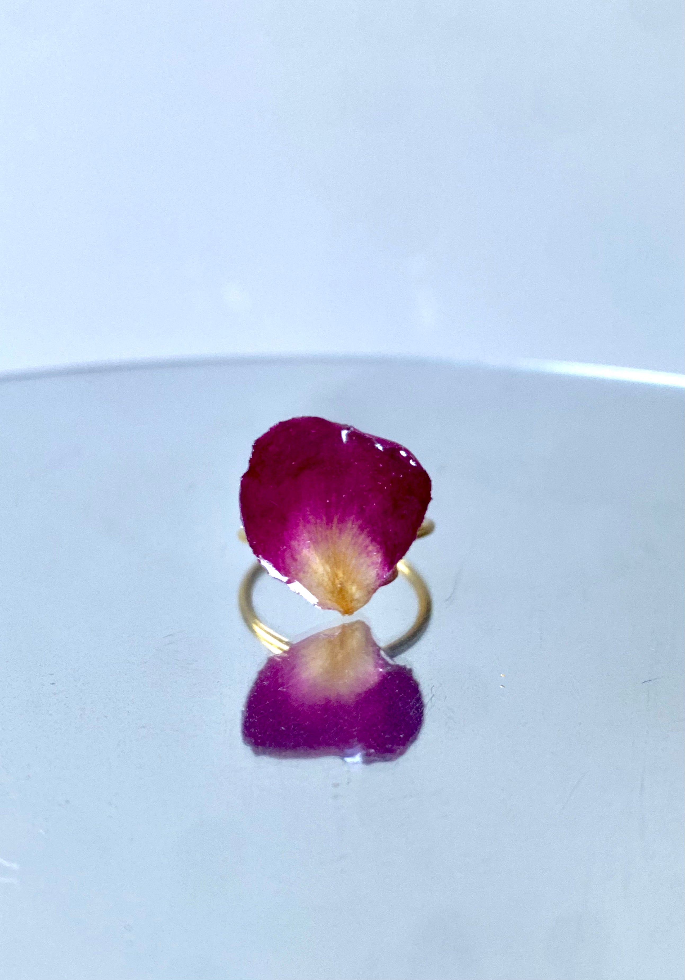 Bague pétale rose véritable
