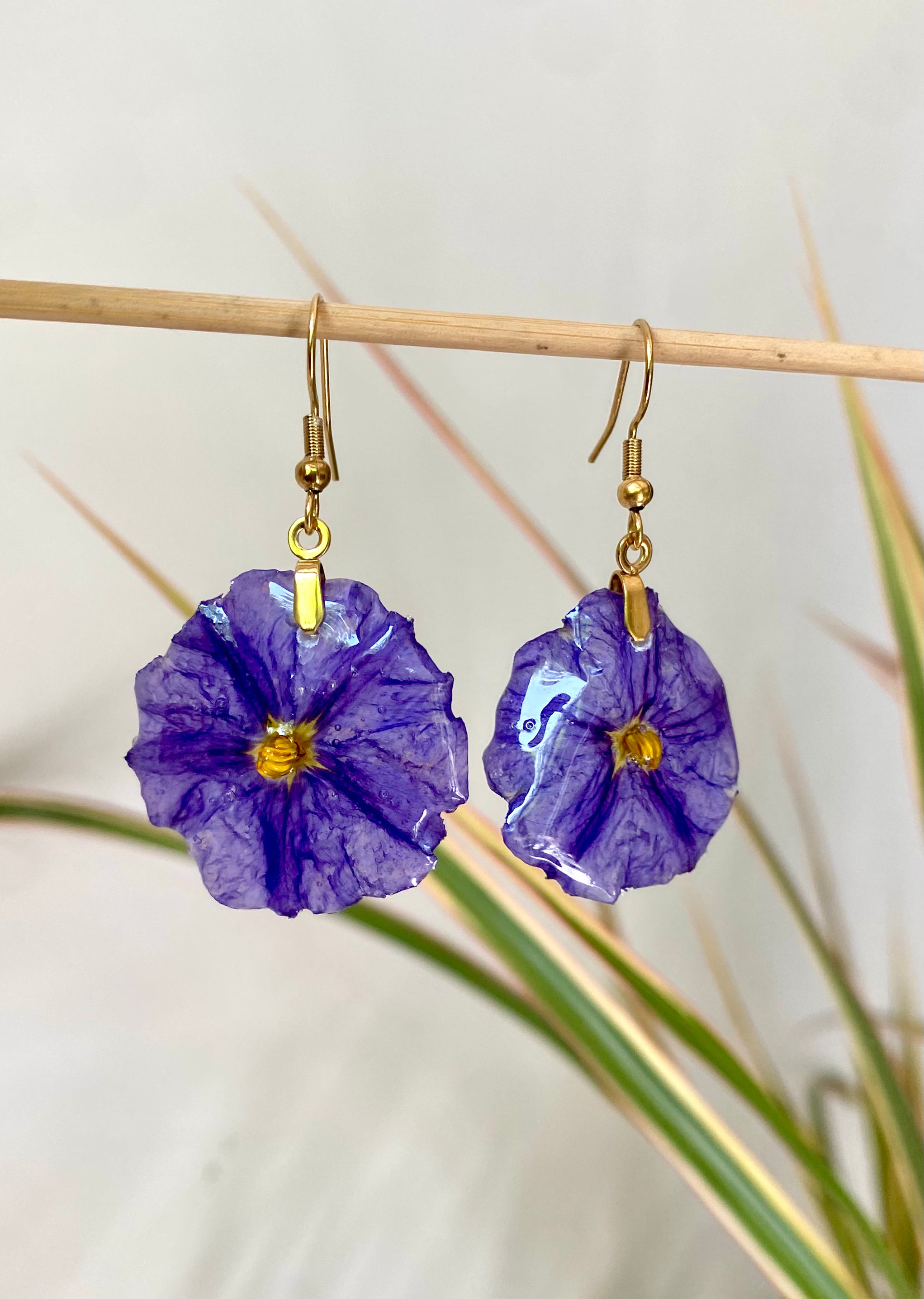 Boucle Fleur Solanum violette Plaqué OR