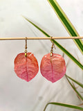 Boucle Bougainvillier orange