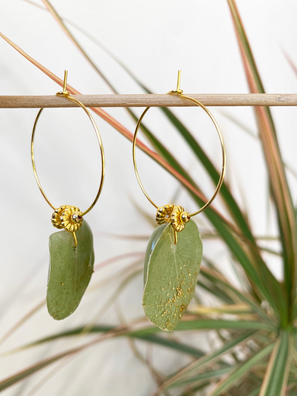 Créole Eucalyptus or et perle