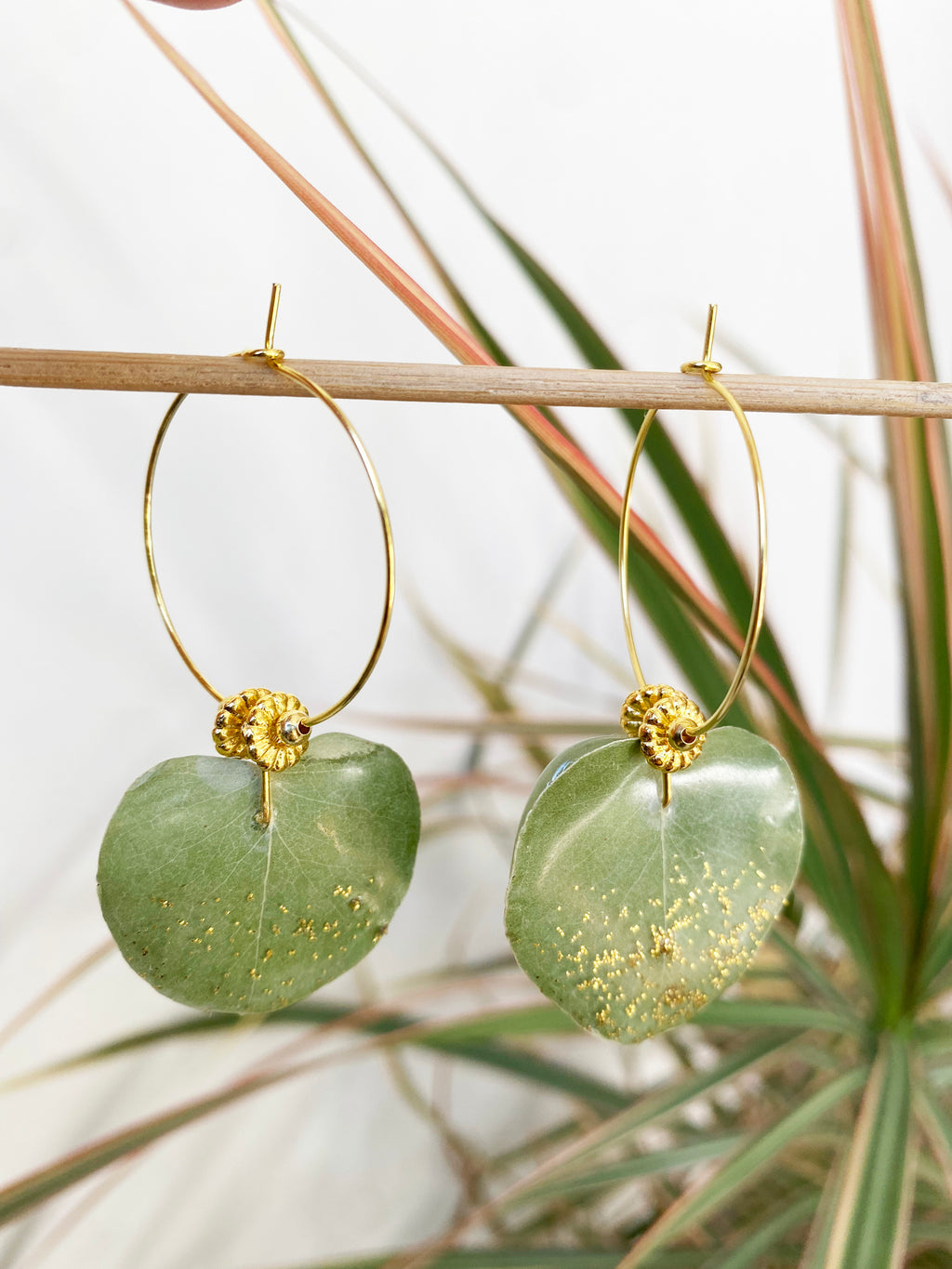 Créole Eucalyptus or et perle