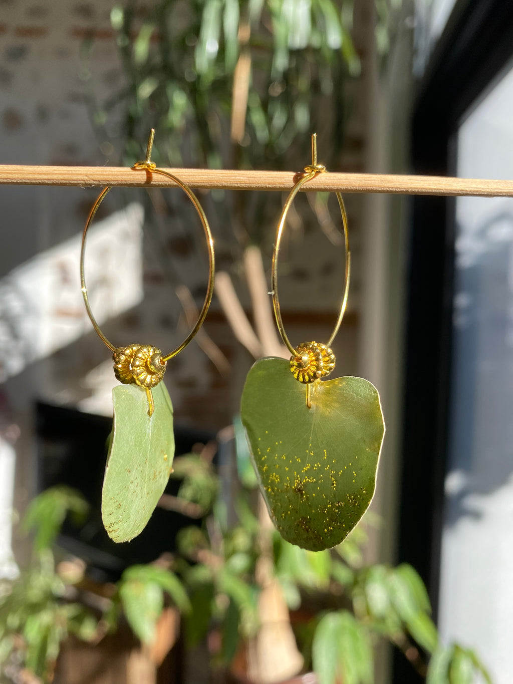 Créole Eucalyptus or et perle