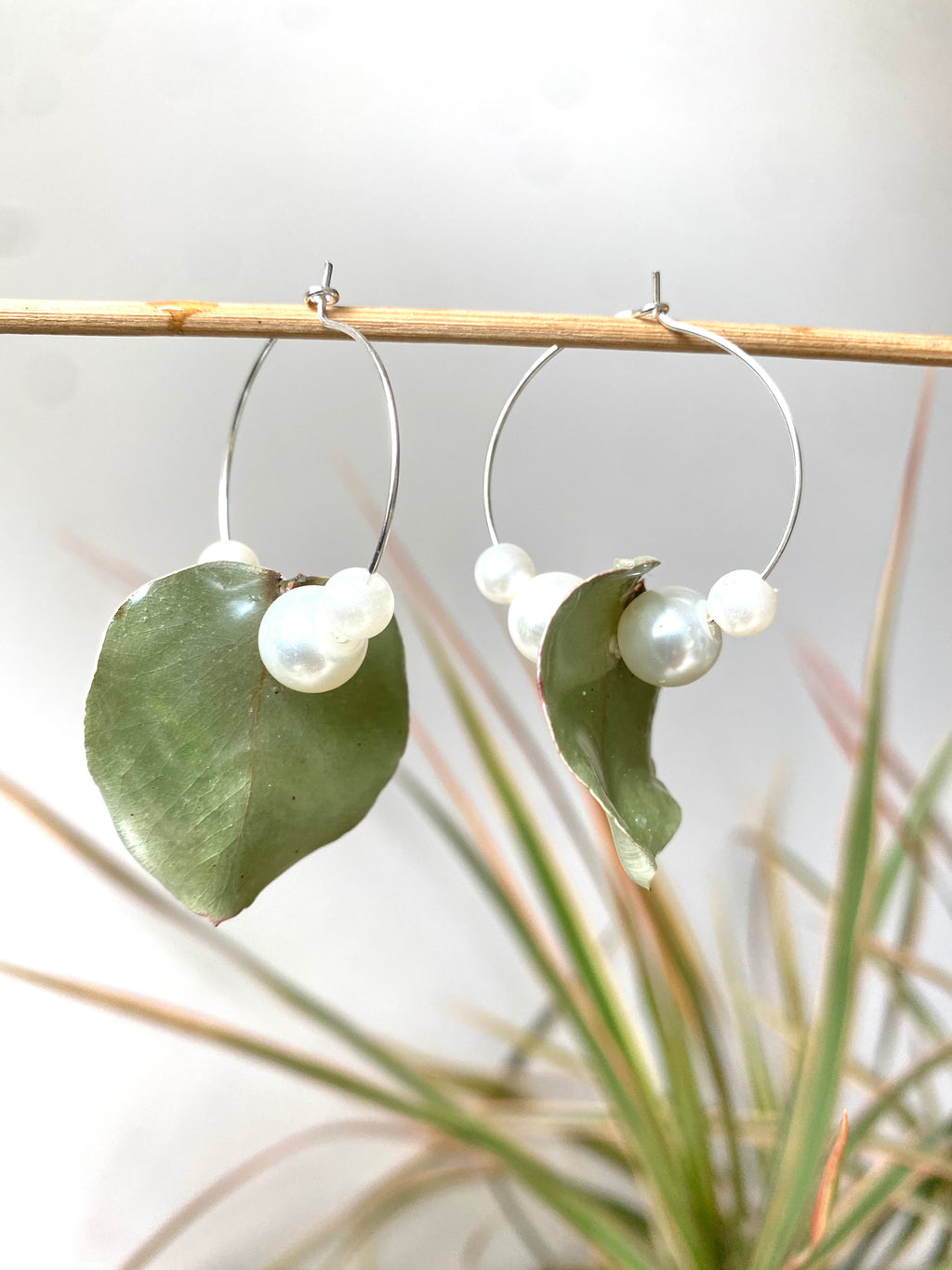 Créole Eucalyptus & Perles nacrées blanches