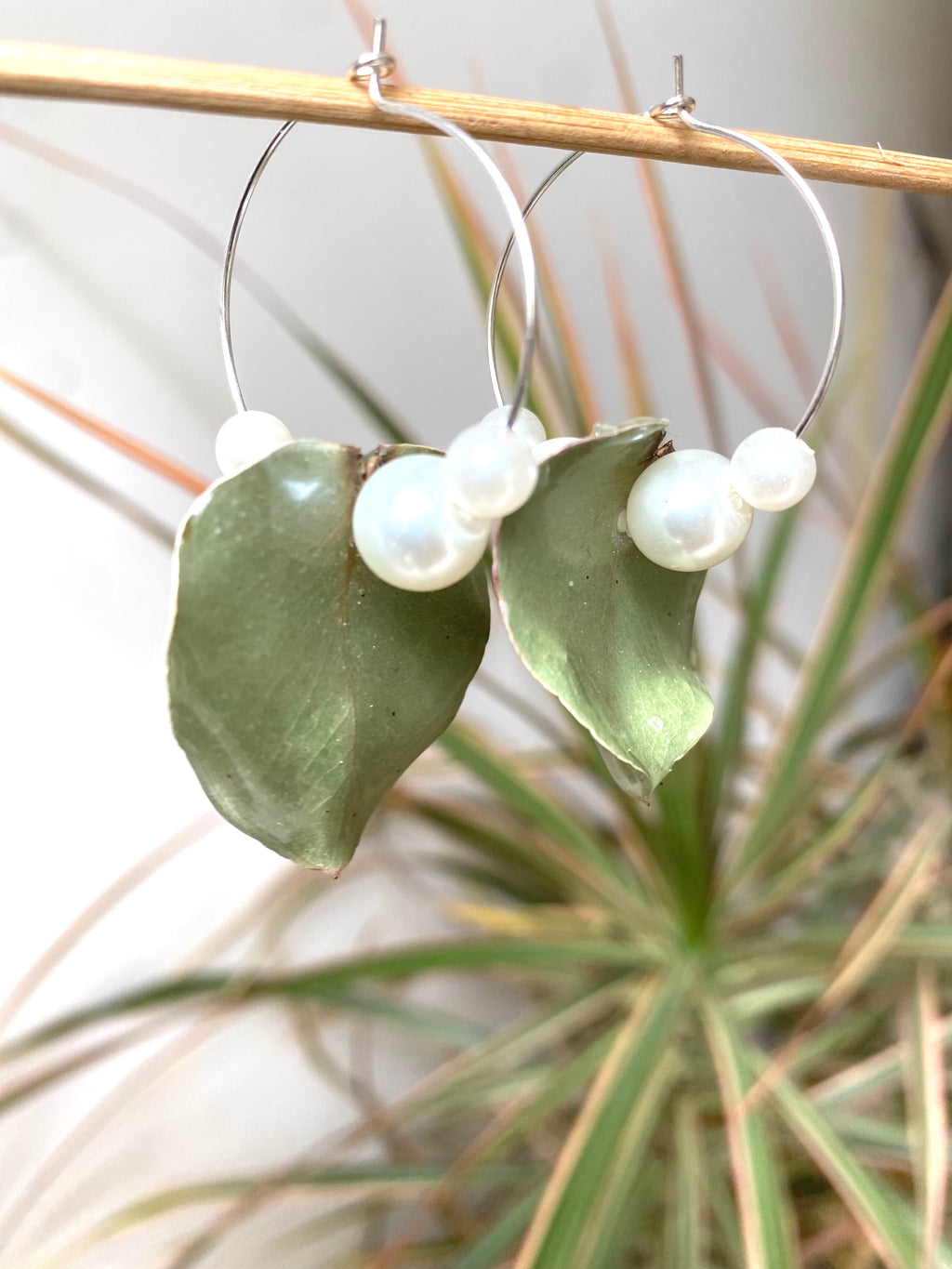 Créole Eucalyptus & Perles nacrées blanches