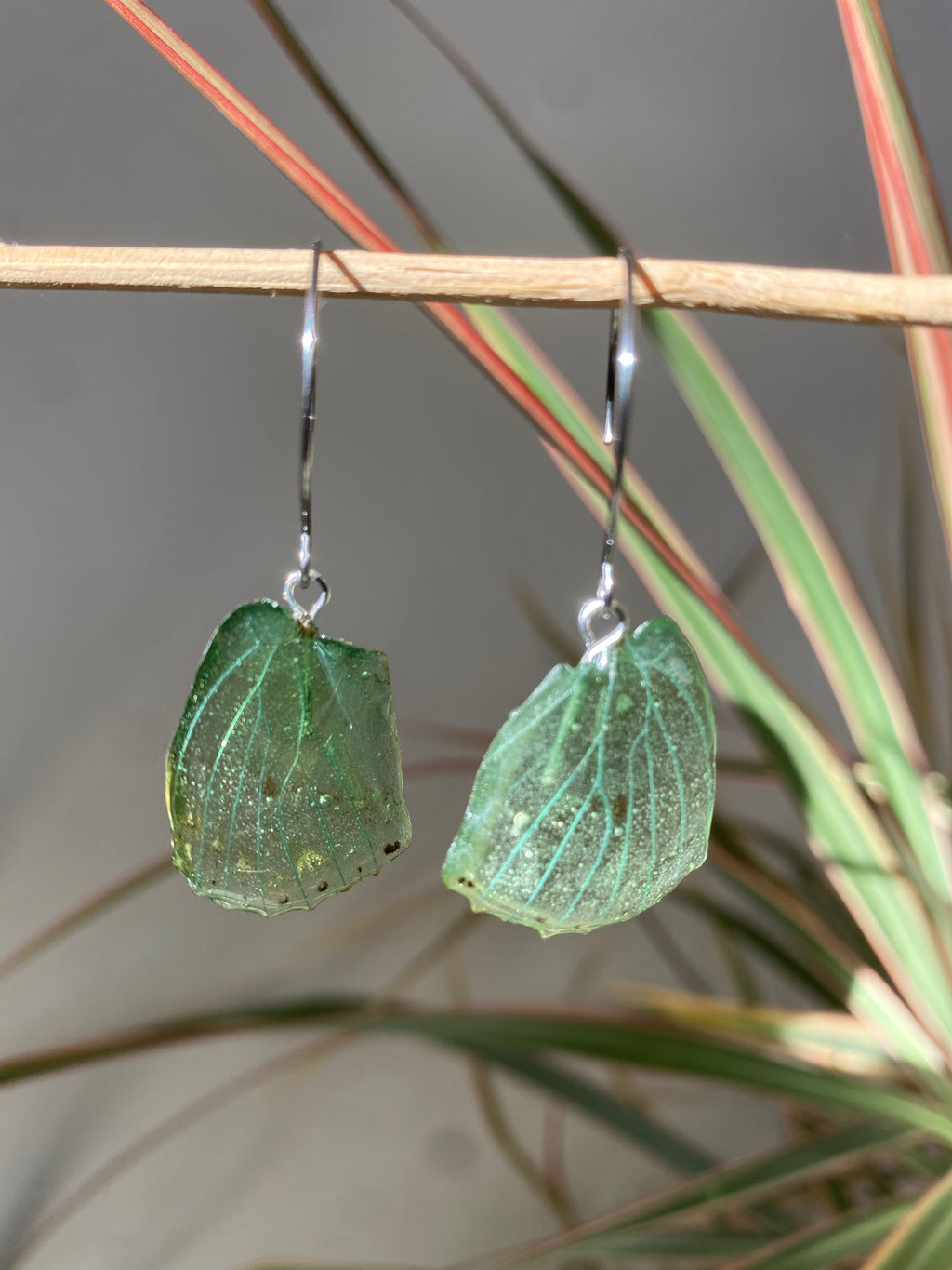 Boucle papillon véritable turquoise argent