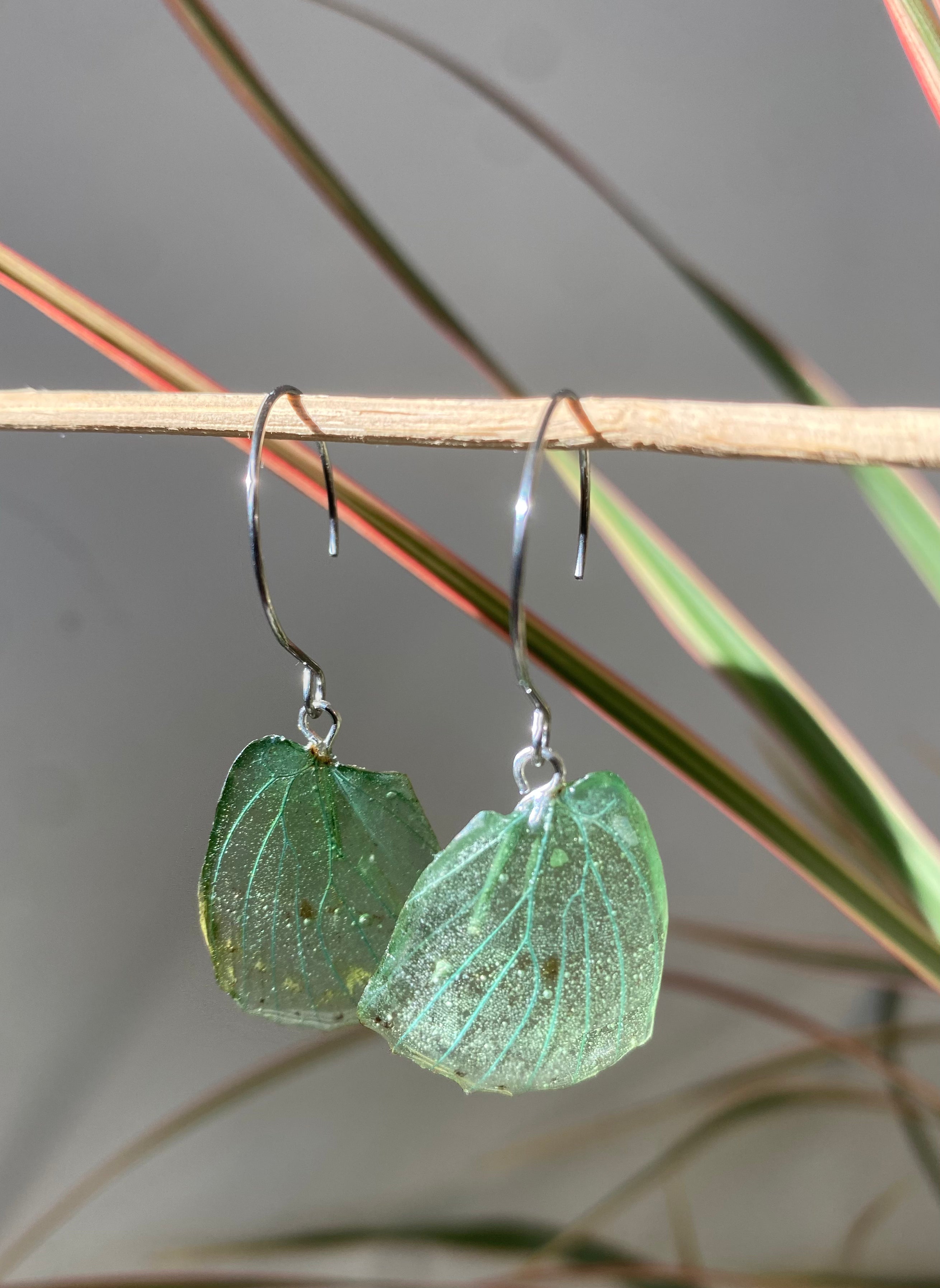 Boucle papillon véritable turquoise argent