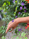 Bracelet Fleur Solanum violette Plaqué OR