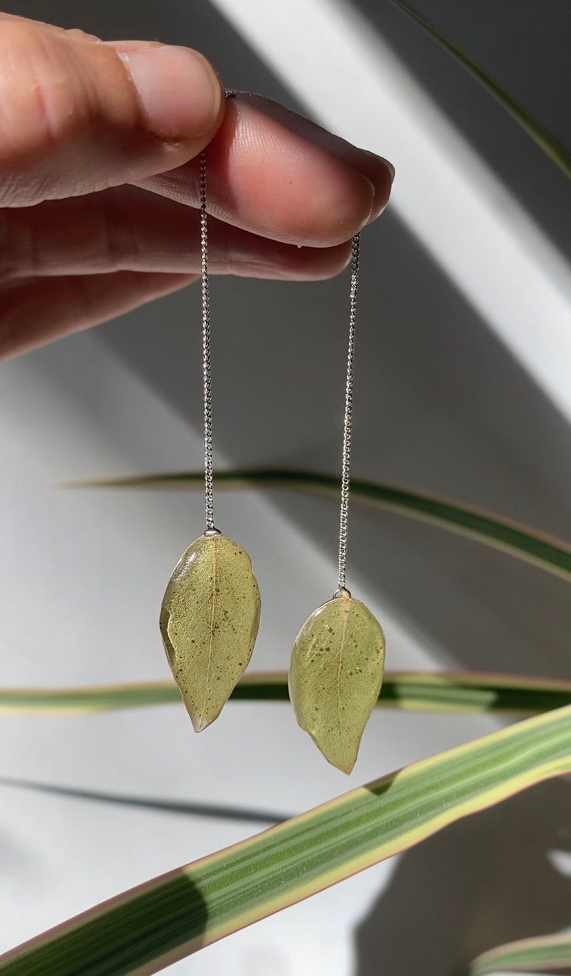Chaine d'oreille feuille eucalyptus