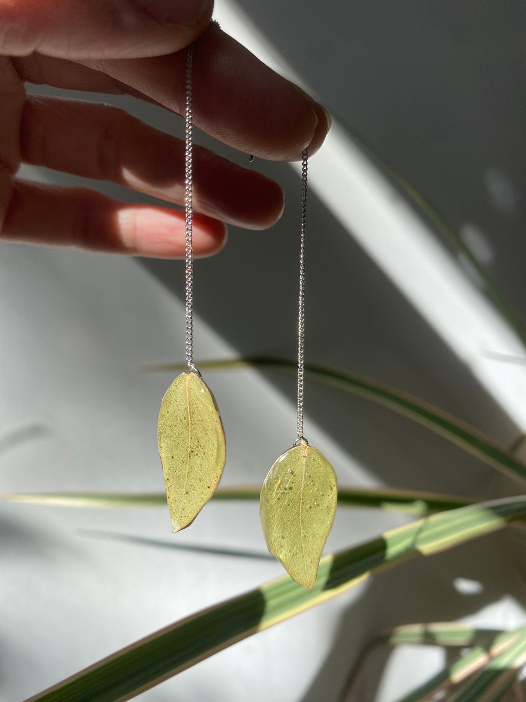 Chaine d'oreille feuille eucalyptus