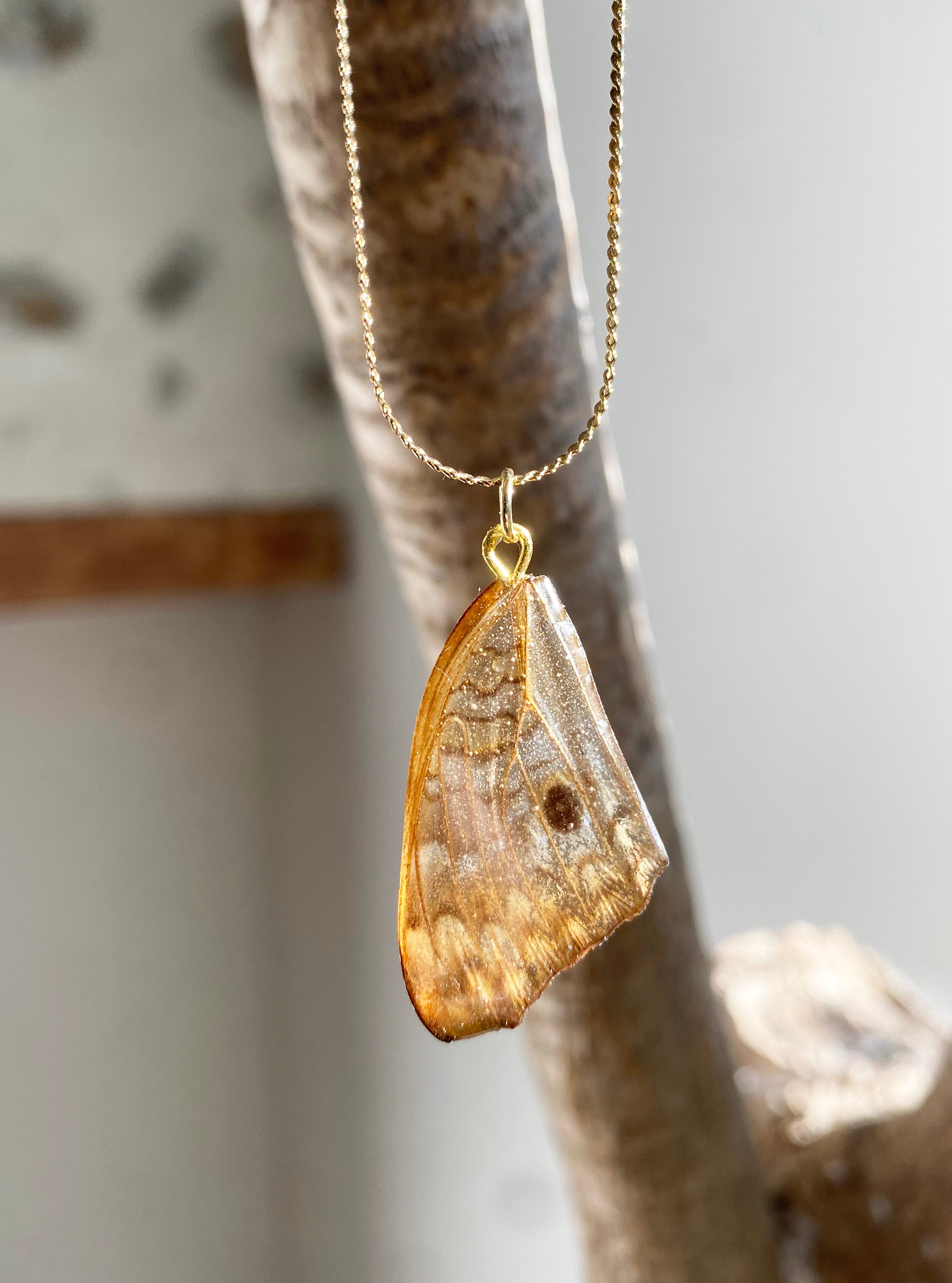 Chaine et Pendentif papillon véritable tigré