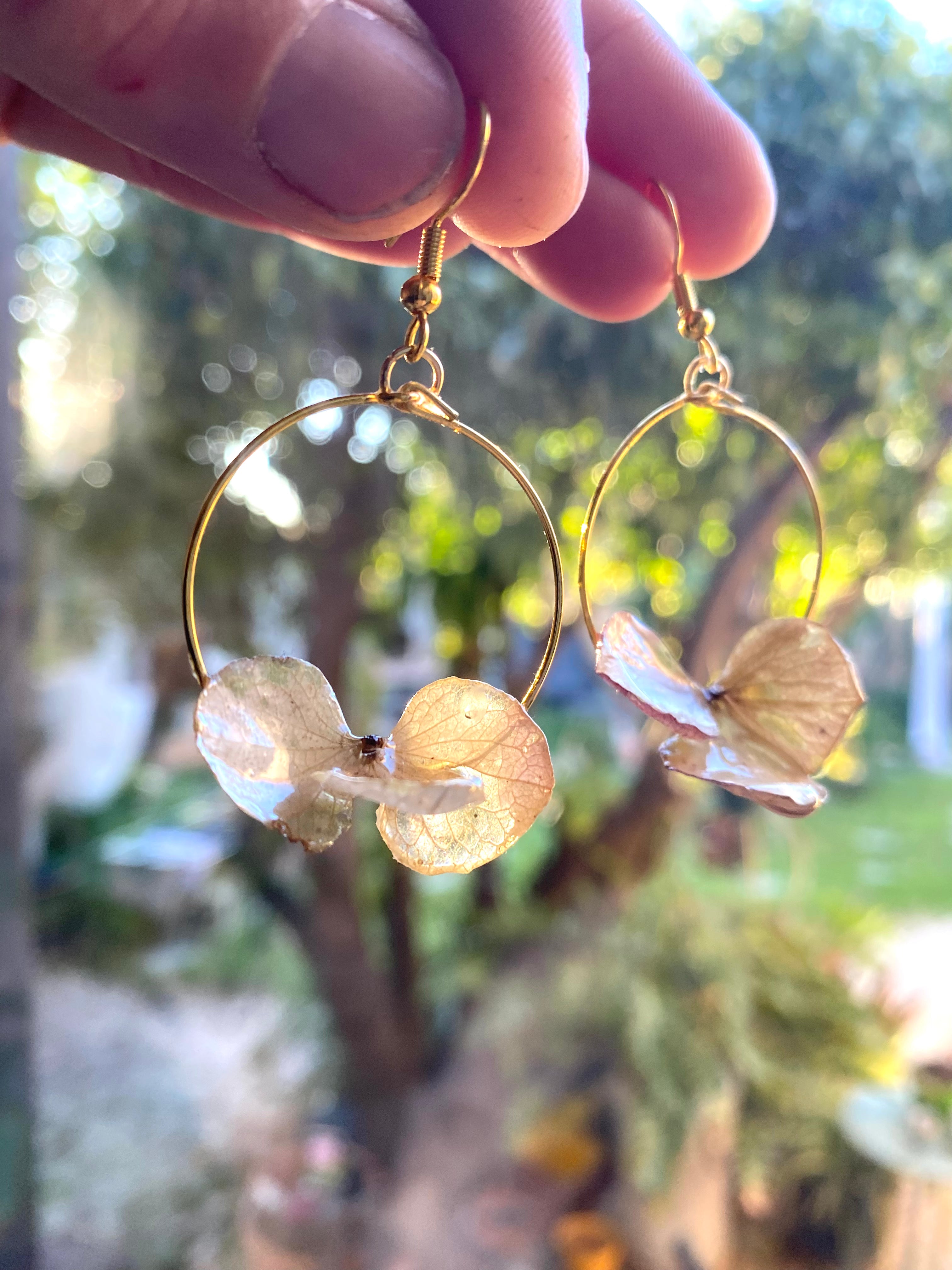 Créole dorée 3 pétales blanche Hortensia