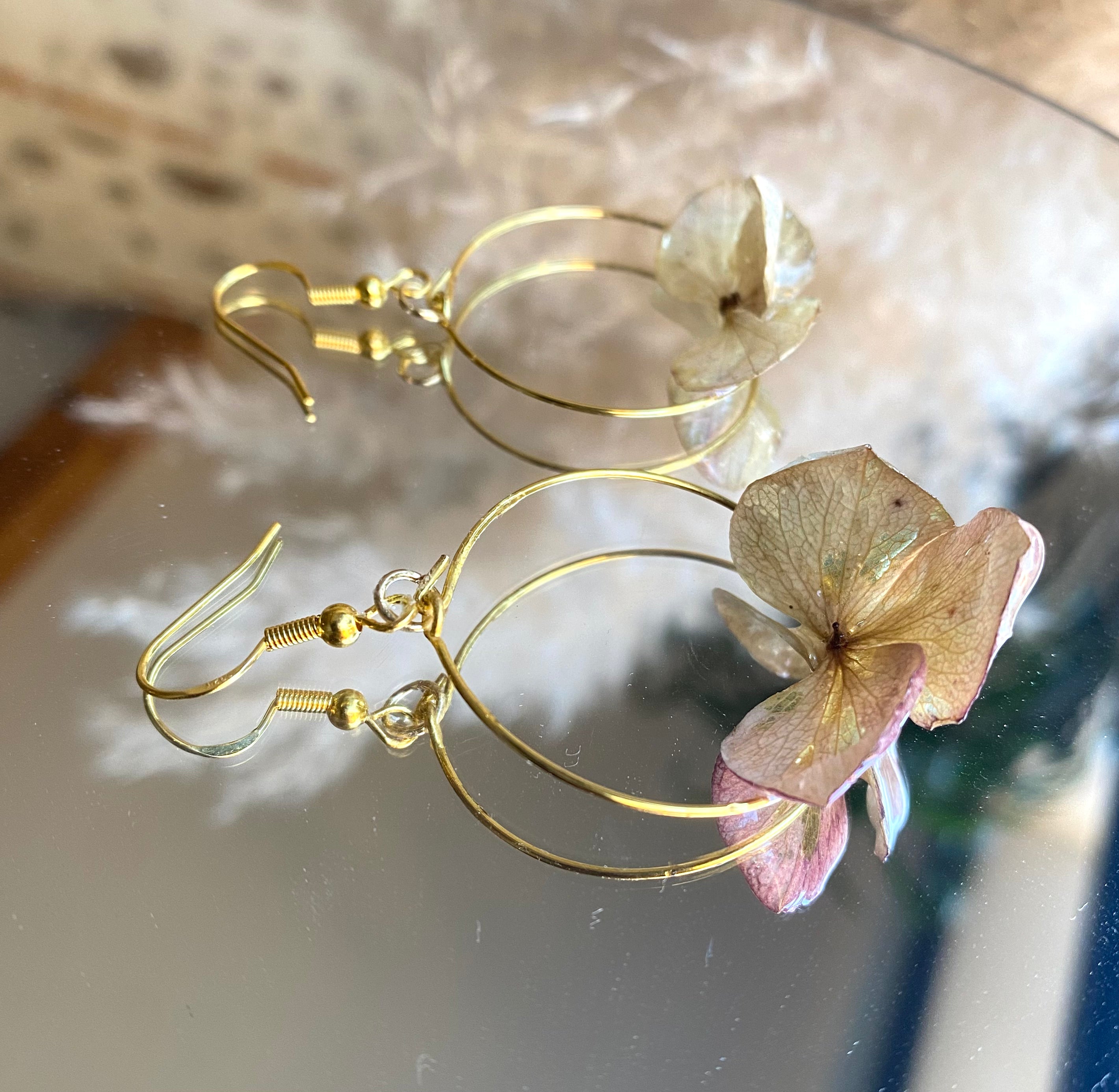 Créole dorée 3 pétales blanche Hortensia