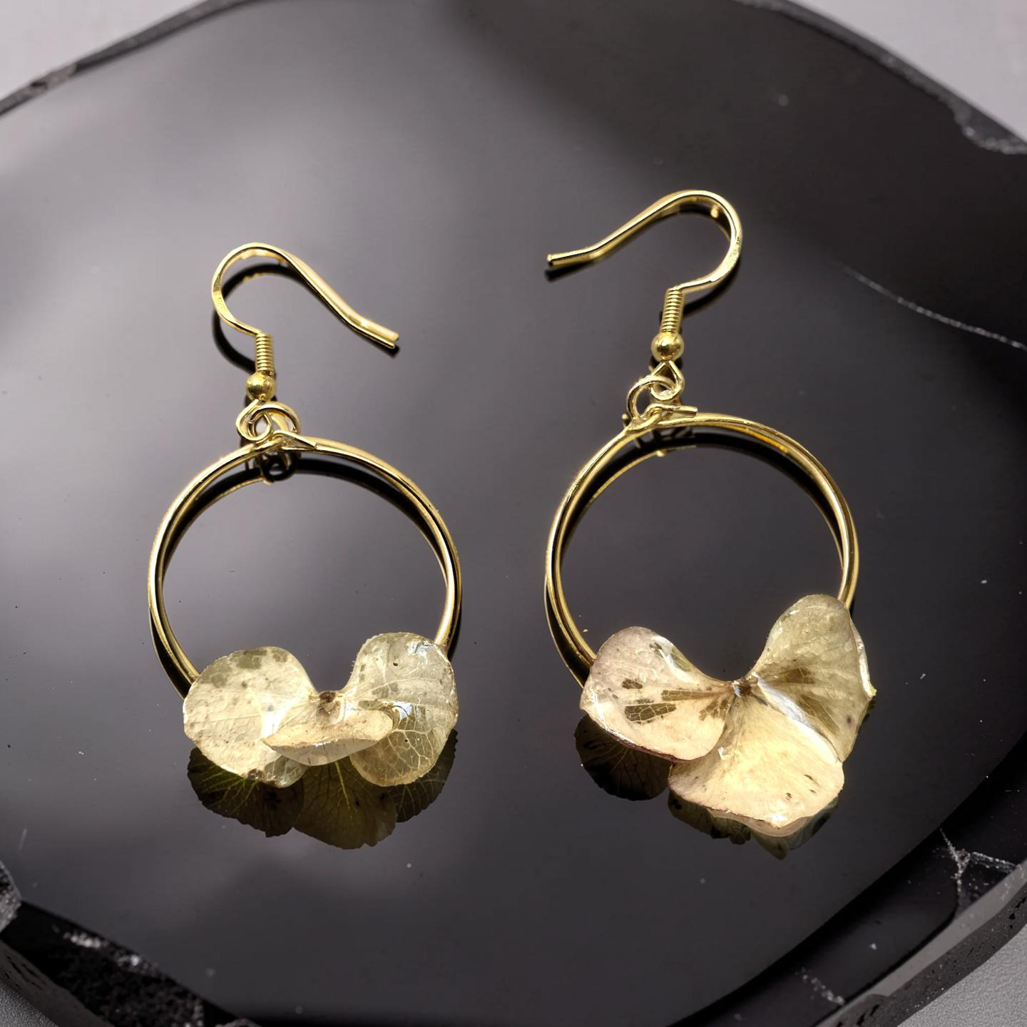 Créole dorée 3 pétales blanche Hortensia