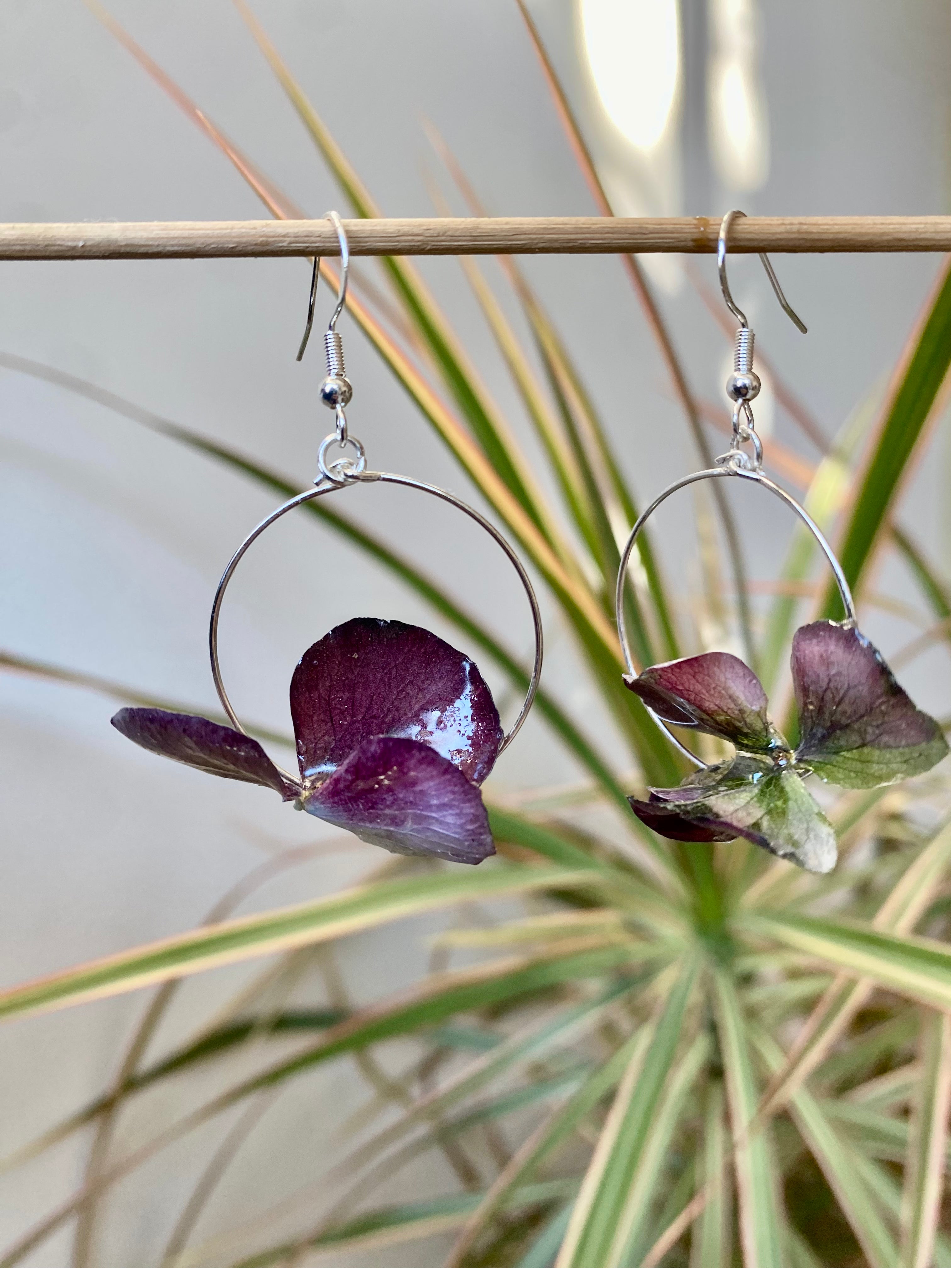 Créole dorée 3 pétales Hortensia pourpre