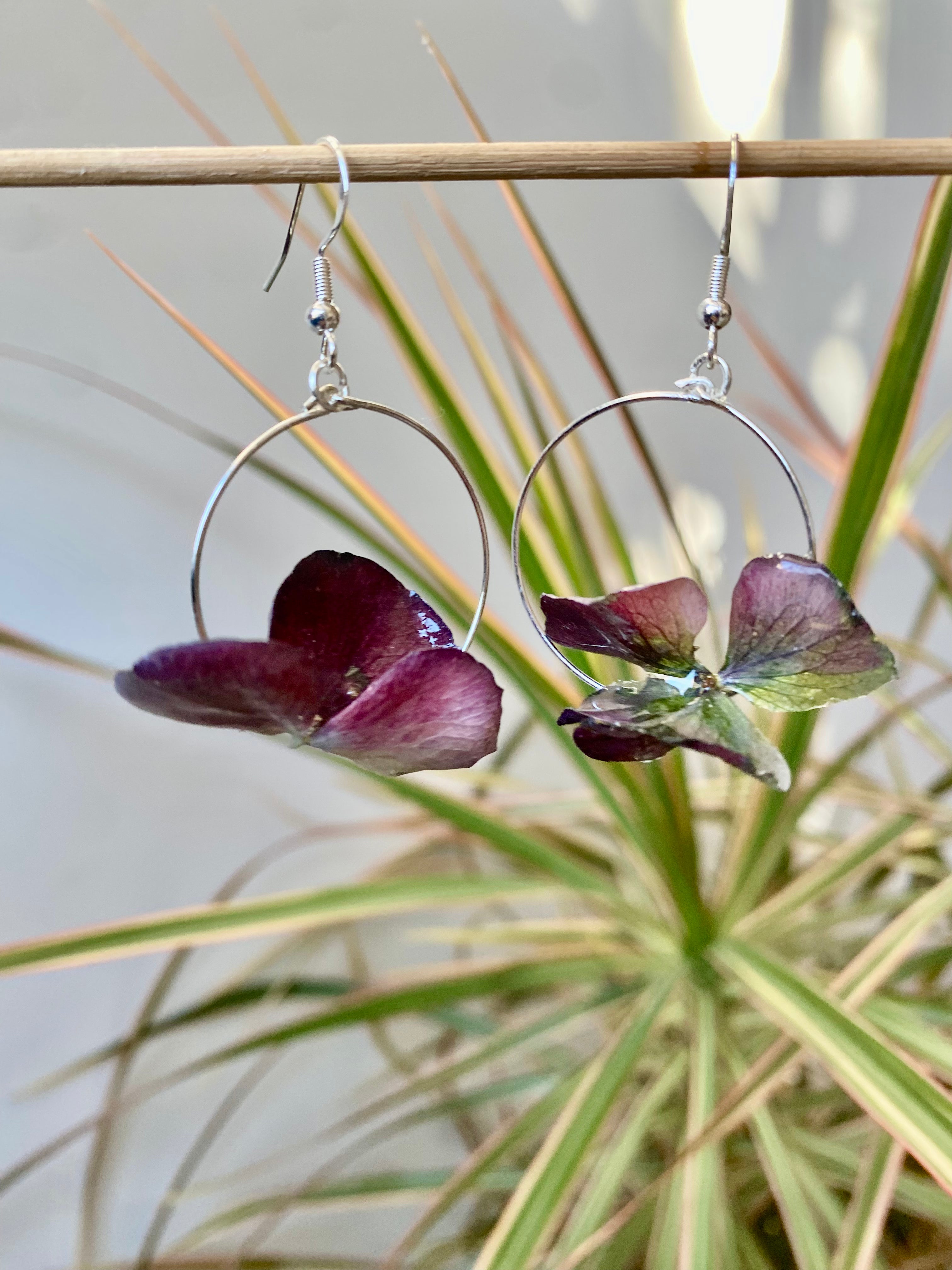 Créole dorée 3 pétales Hortensia pourpre