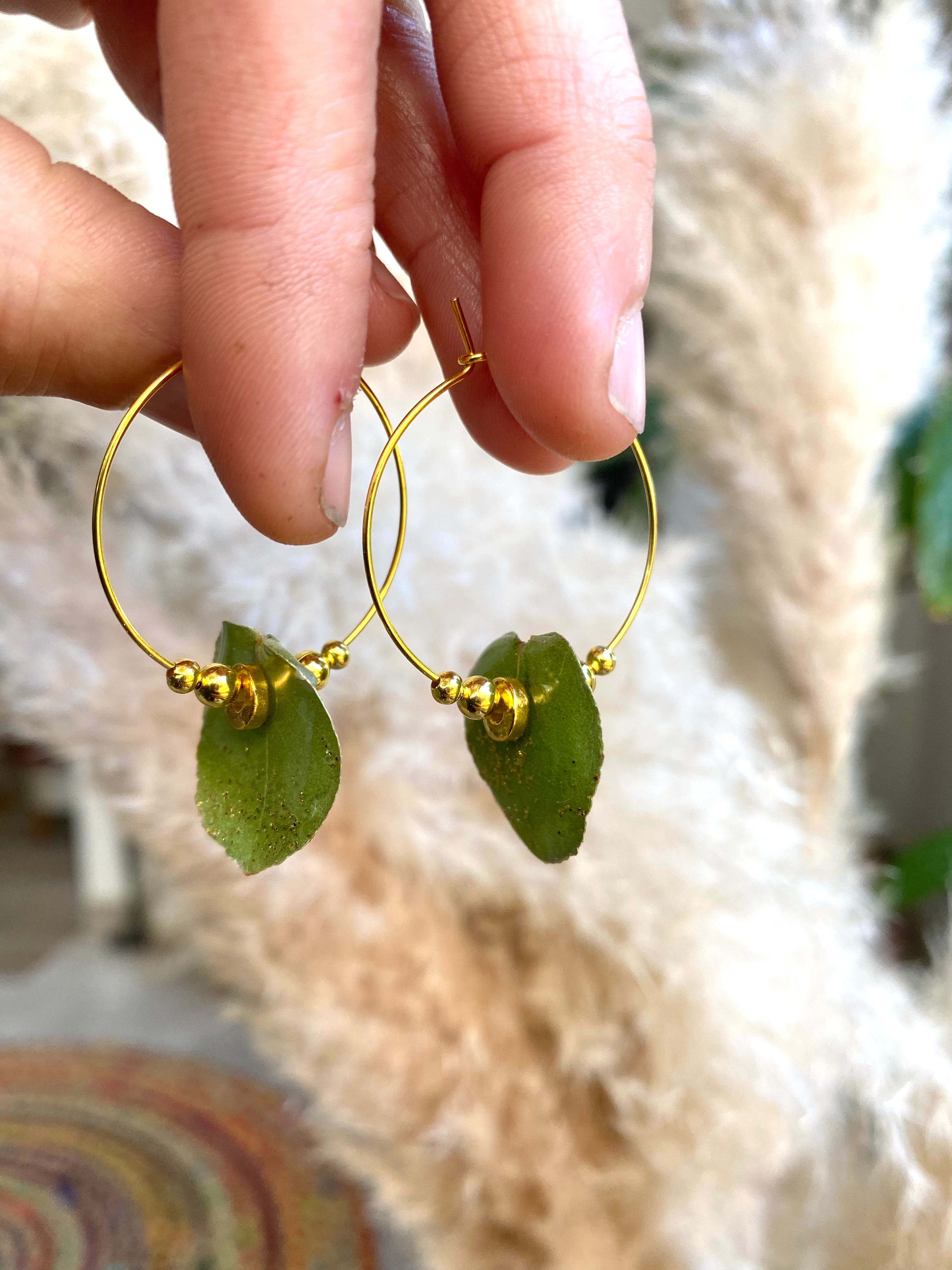 Créole petit Eucalyptus plaqué OR et perle