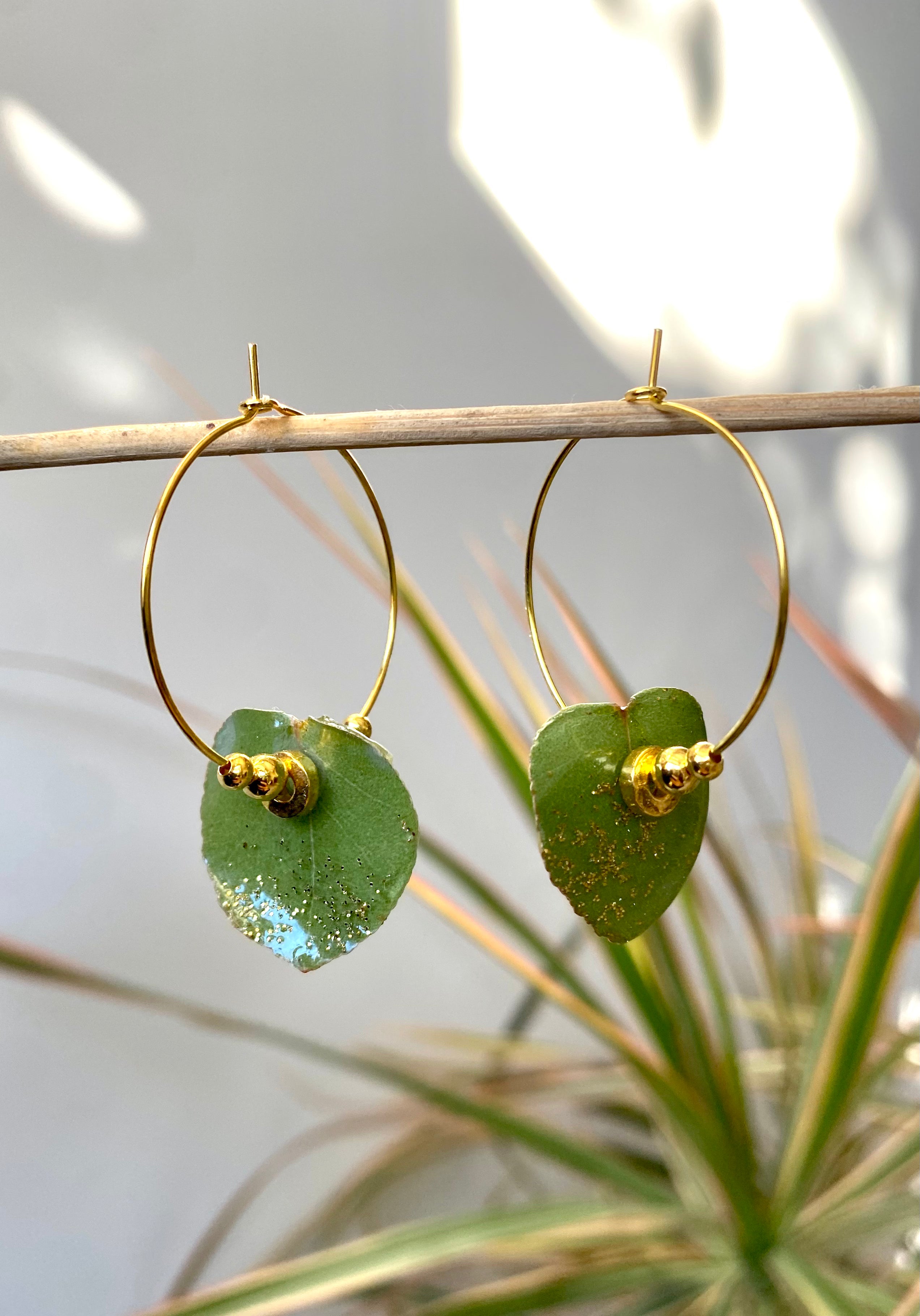 Créole petit Eucalyptus plaqué OR et perle