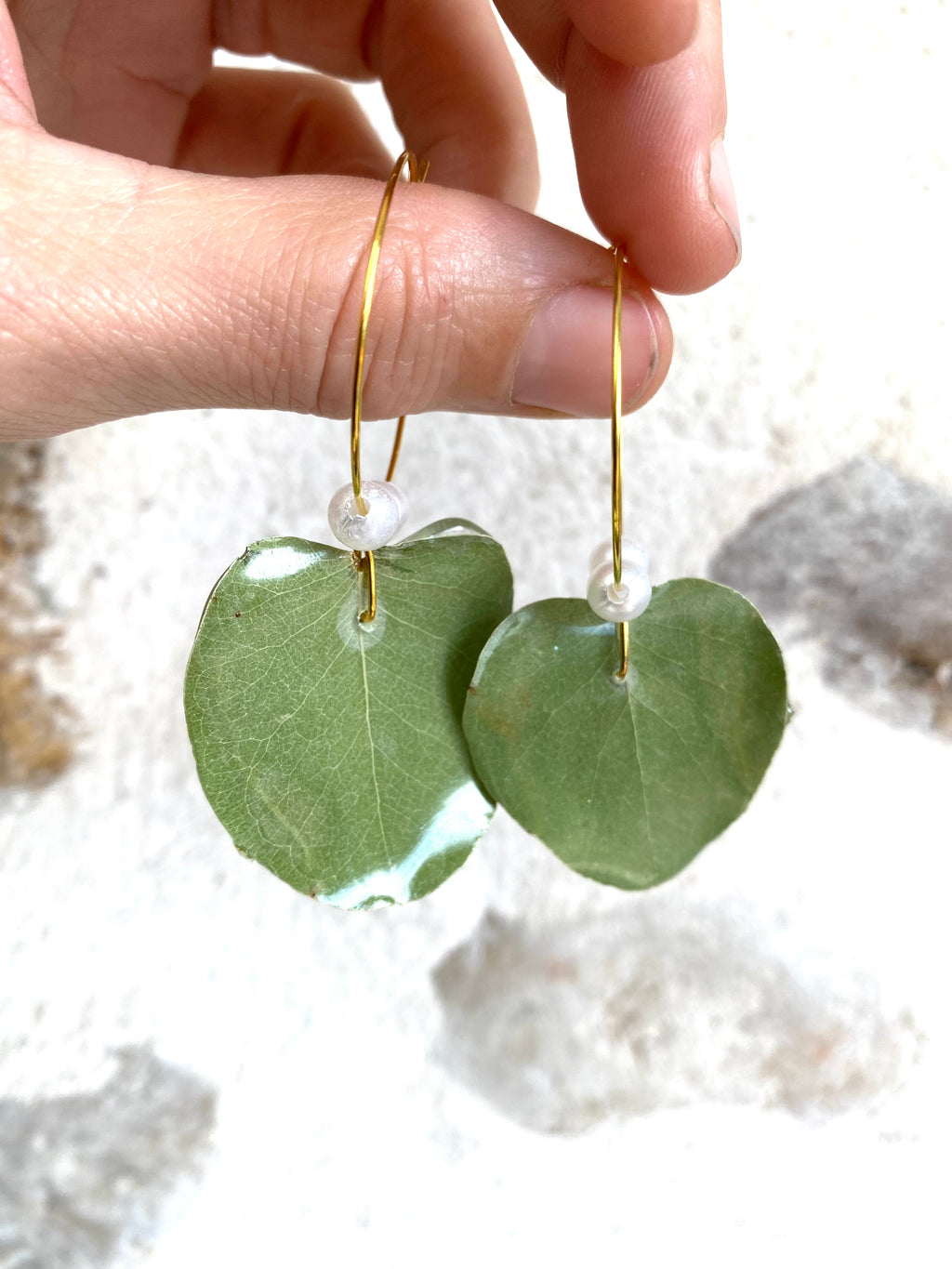 Créole Eucalyptus Or & Perles nacrées blanches