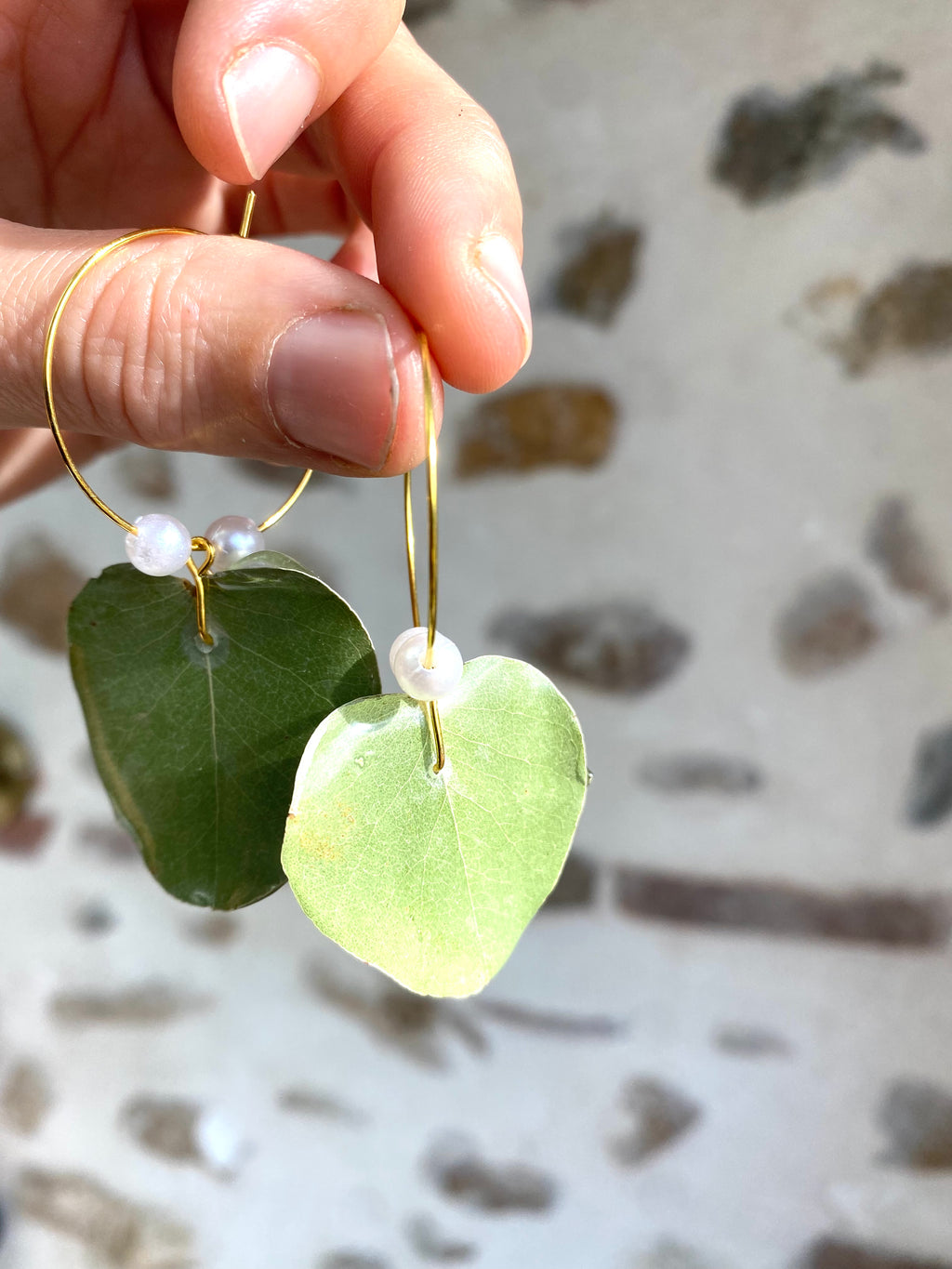 Créole Eucalyptus Or & Perles nacrées blanches