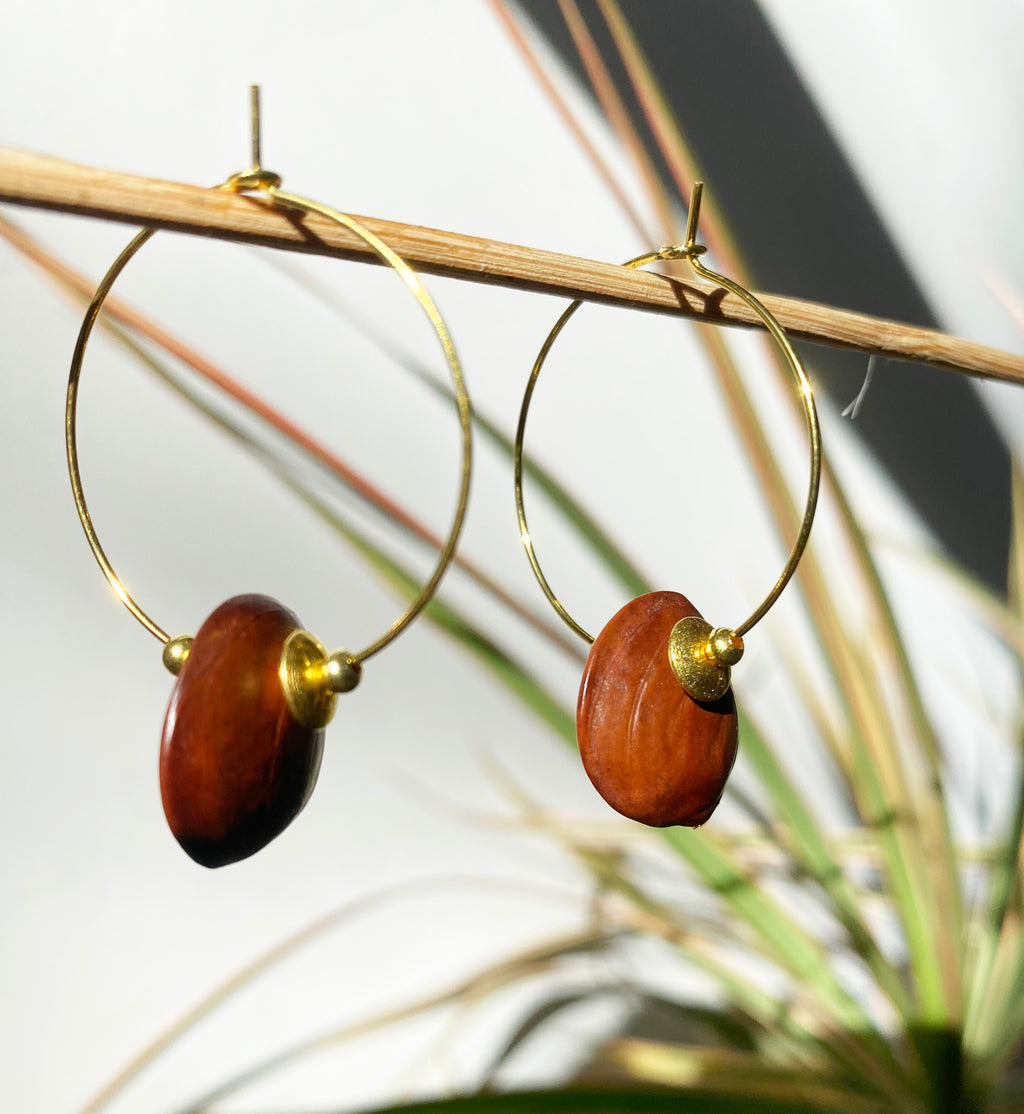 Créoles graines de Glycine et perles dorées - Plaquée OR