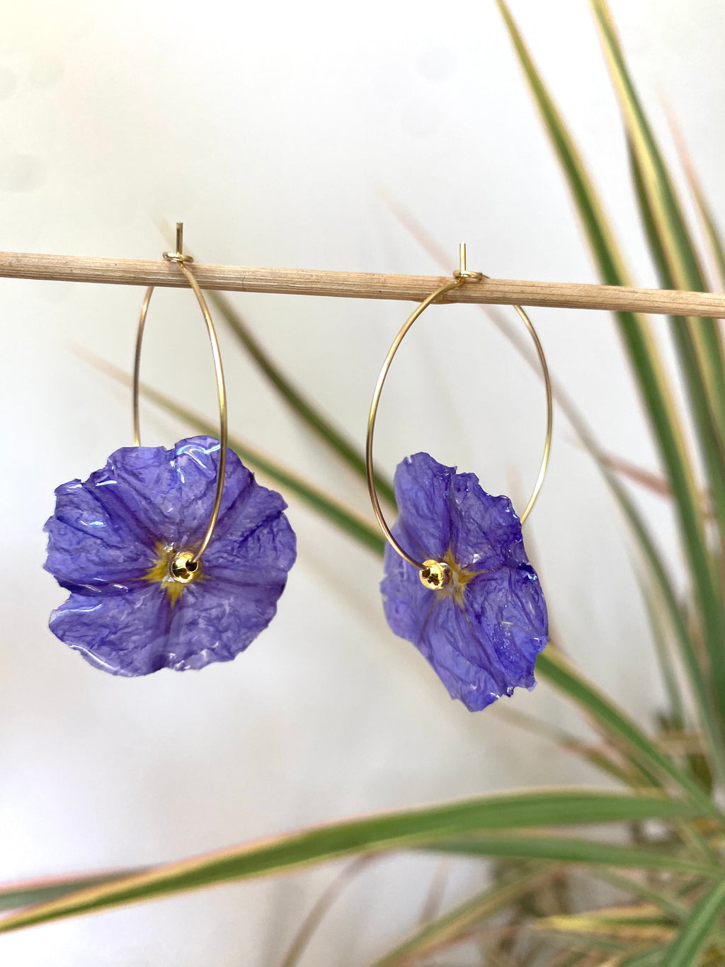 Créole Fleur Solanum violette Plaqué OR anneau
