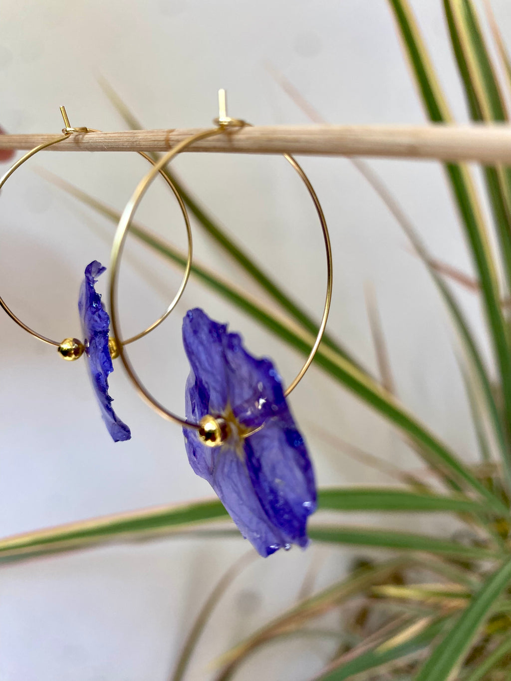 Créole Fleur Solanum violette Plaqué OR anneau