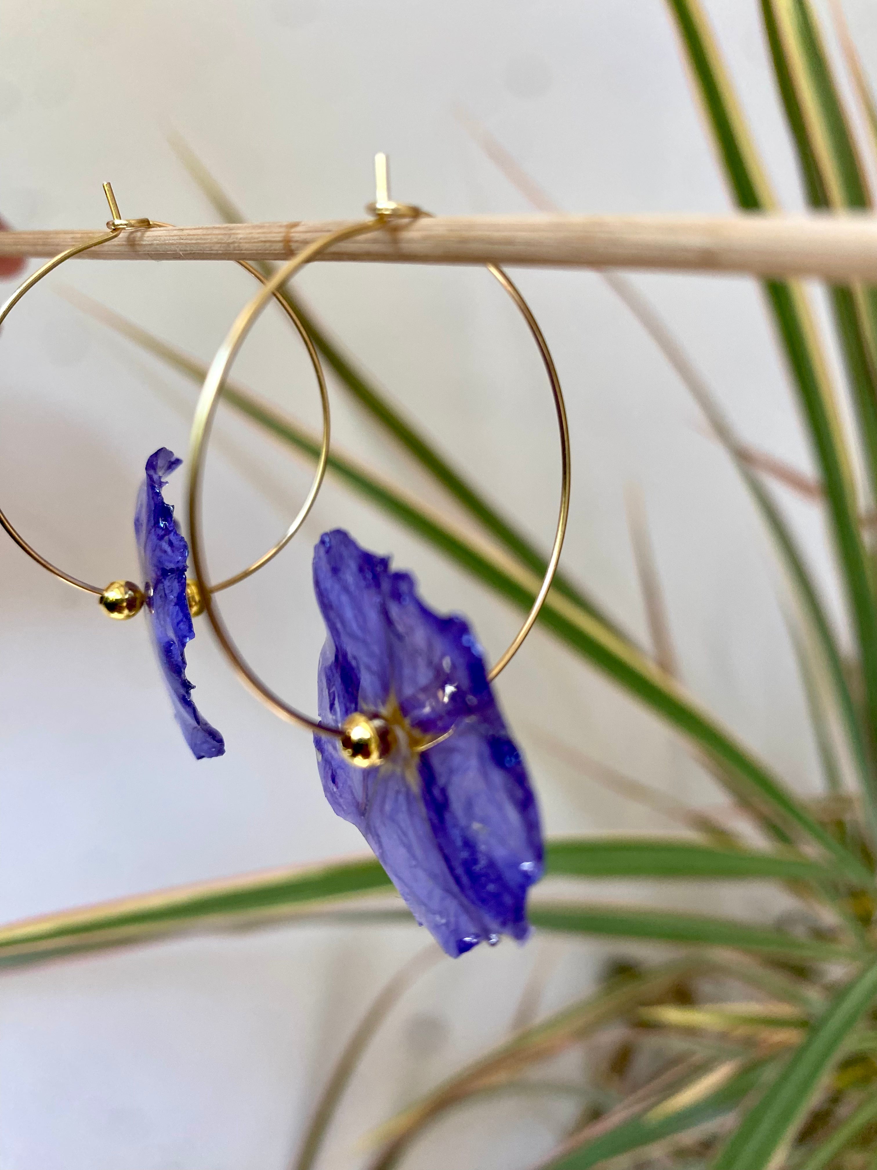 Créole Fleur Solanum violette Plaqué OR anneau