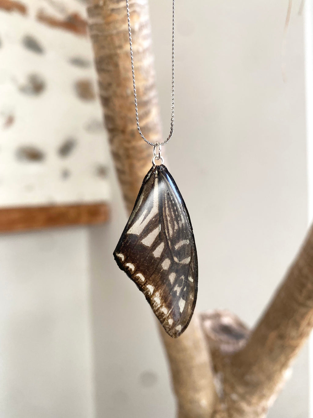 Chaine et Pendentif papillon véritable