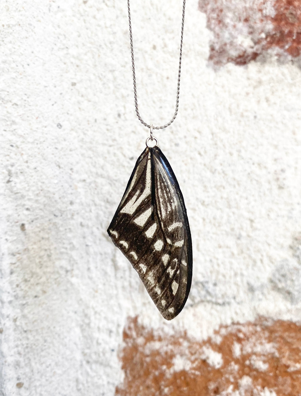 Chaine et Pendentif papillon véritable
