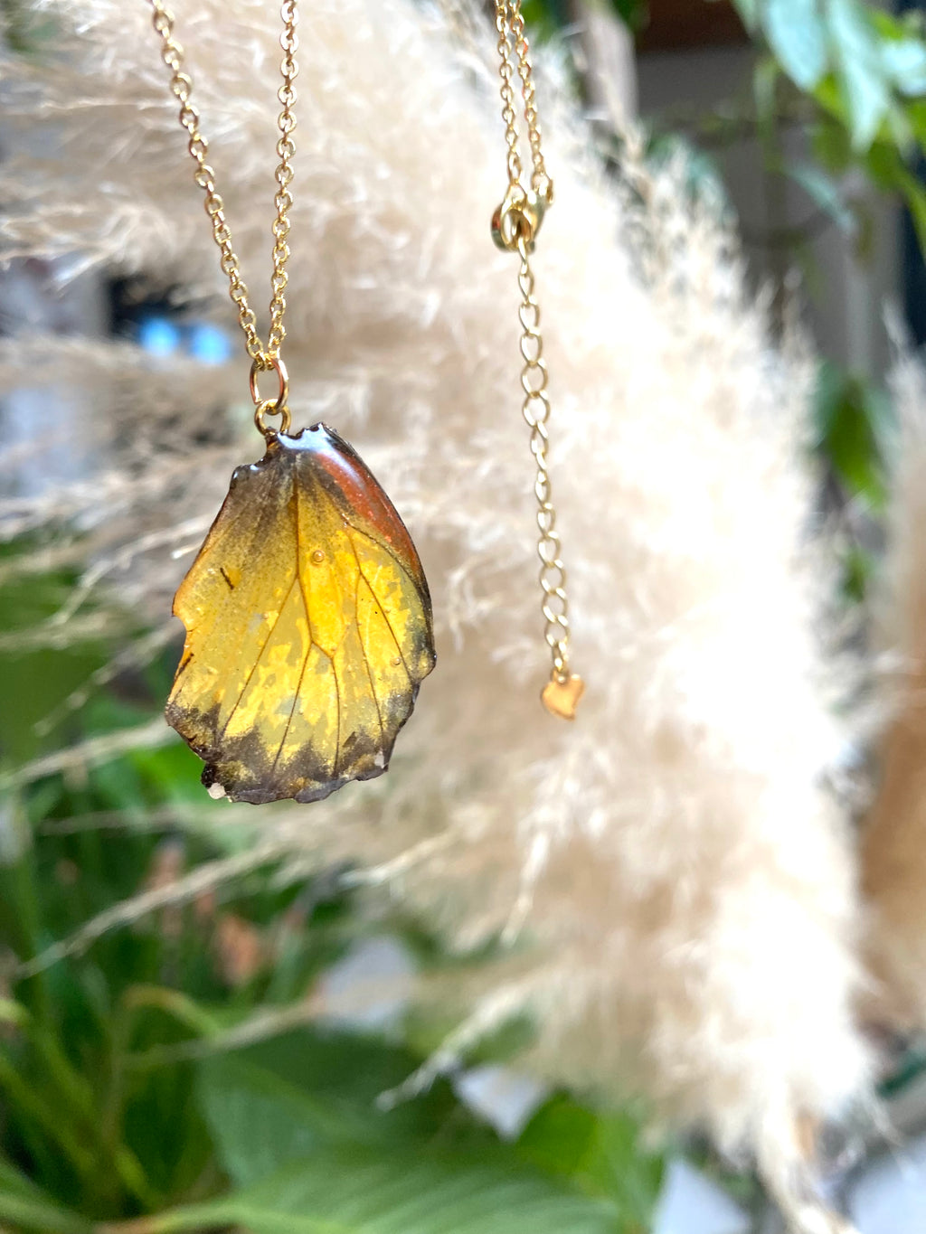 Chaine et Pendentif papillon véritable jaune-orangé