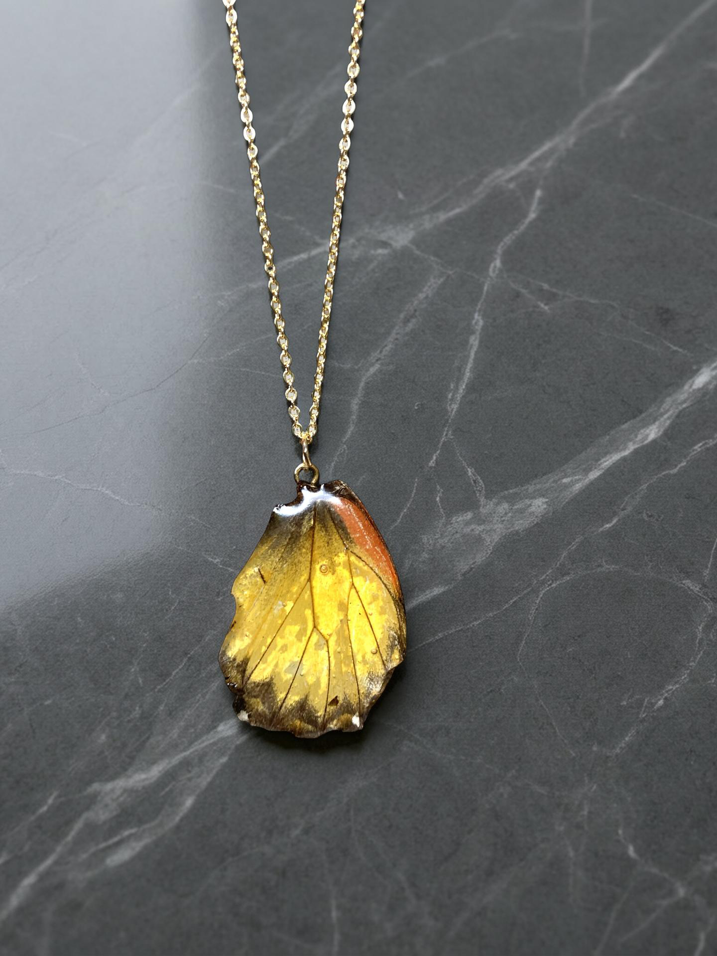 Chaine et Pendentif papillon véritable jaune-orangé