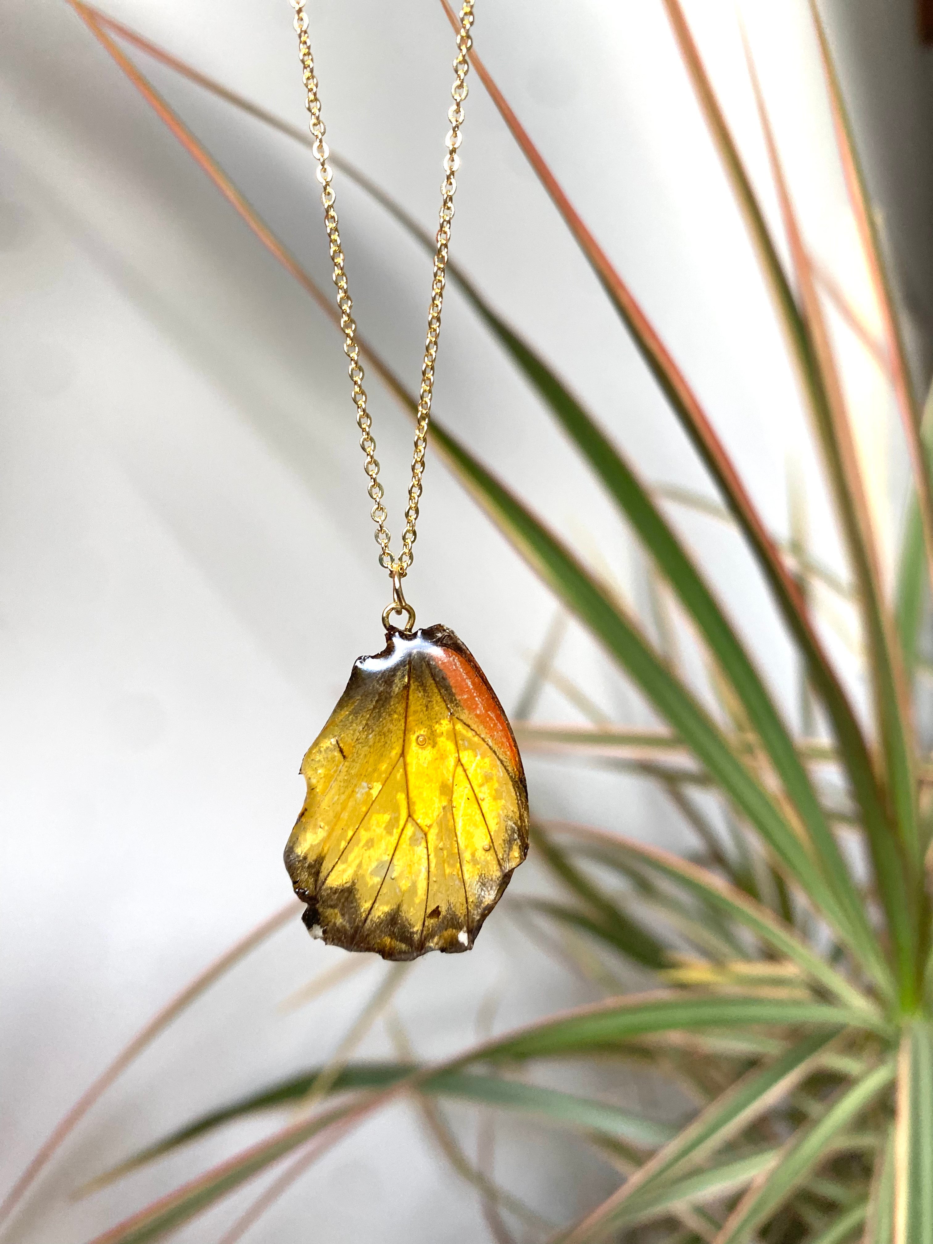Chaine et Pendentif papillon véritable jaune-orangé