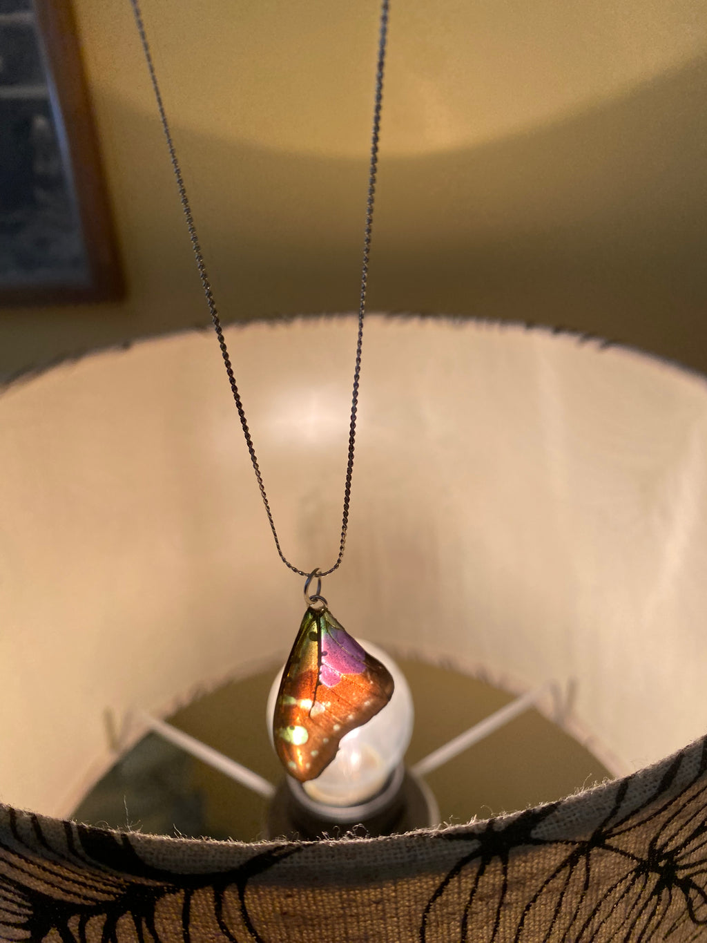 Chaine et Pendentif papillon véritabe noir/violet