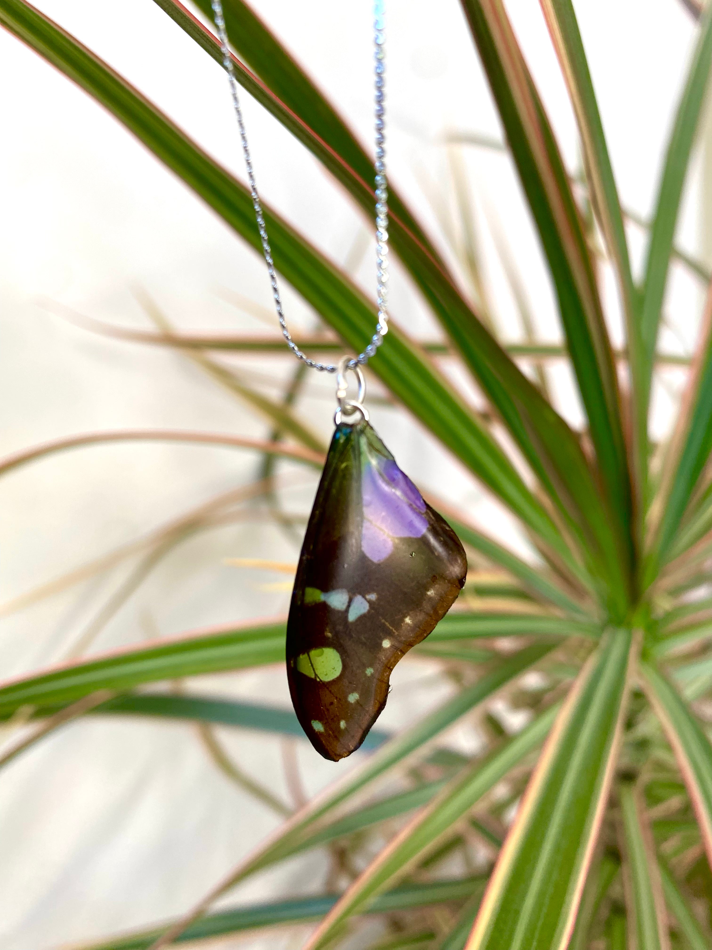 Chaine et Pendentif papillon véritabe noir/violet