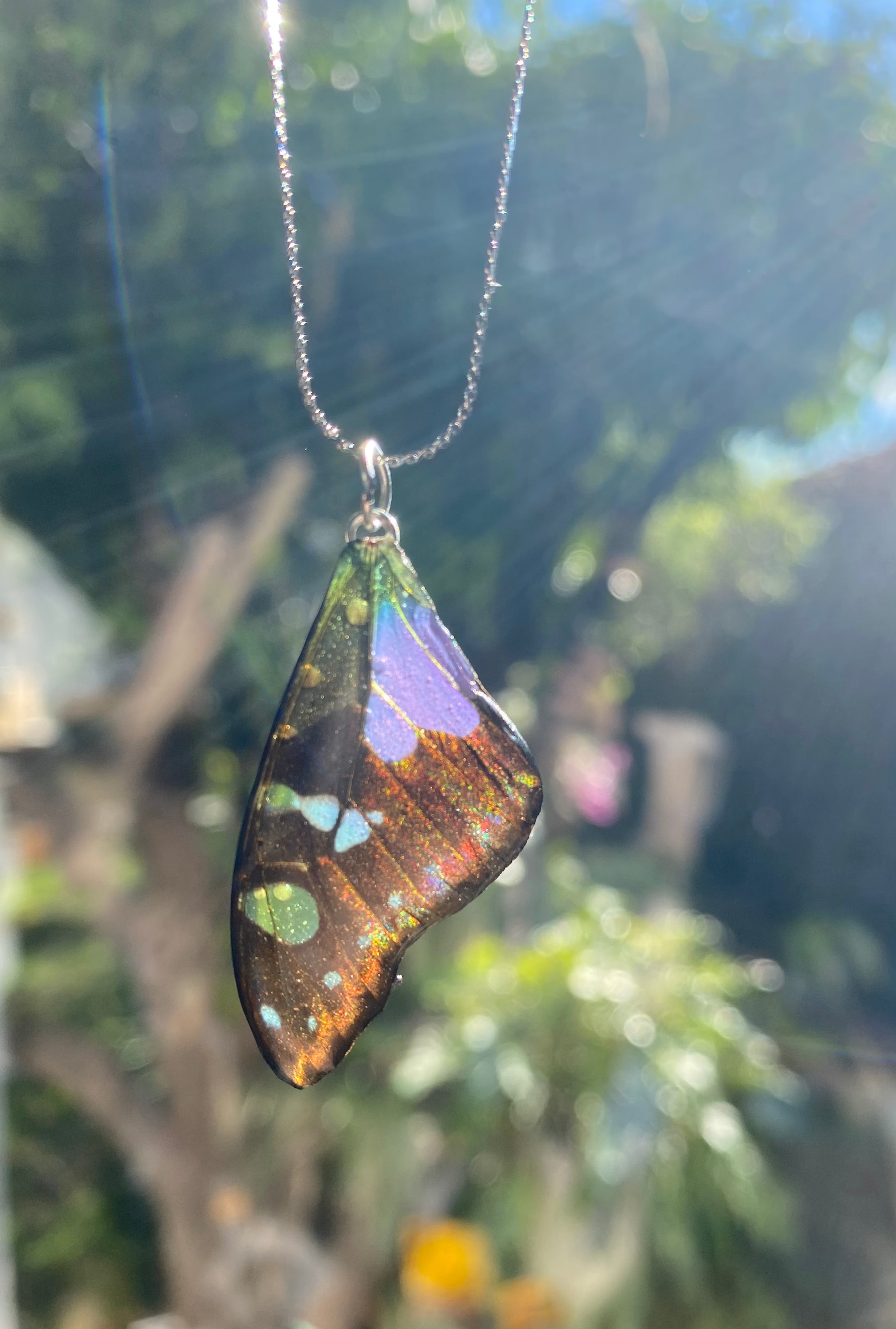 Chaine et Pendentif papillon véritabe noir/violet