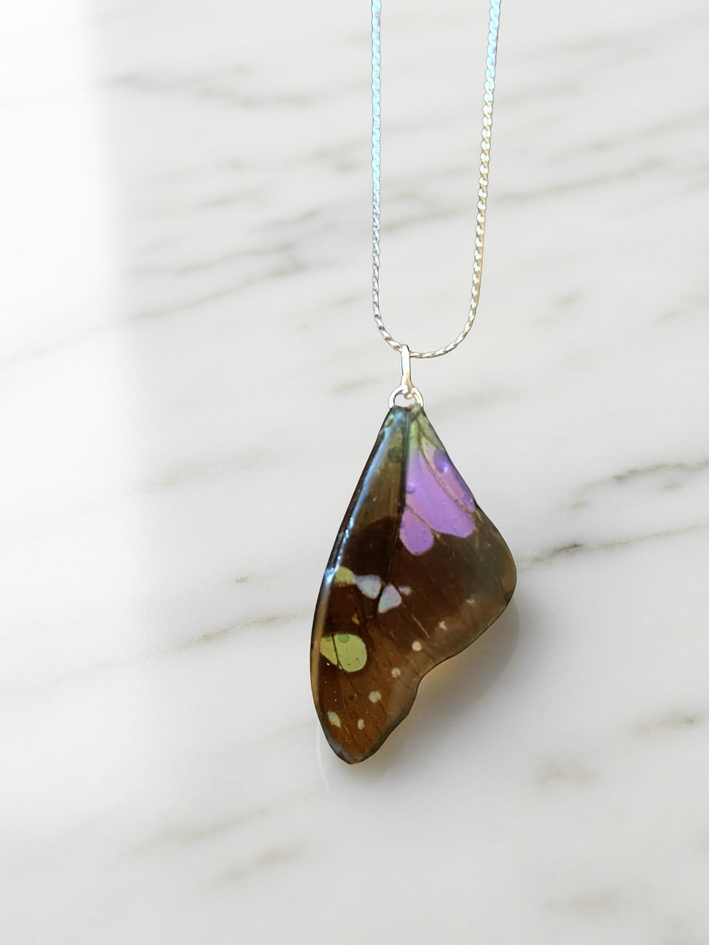 Chaine et Pendentif papillon véritabe noir/violet