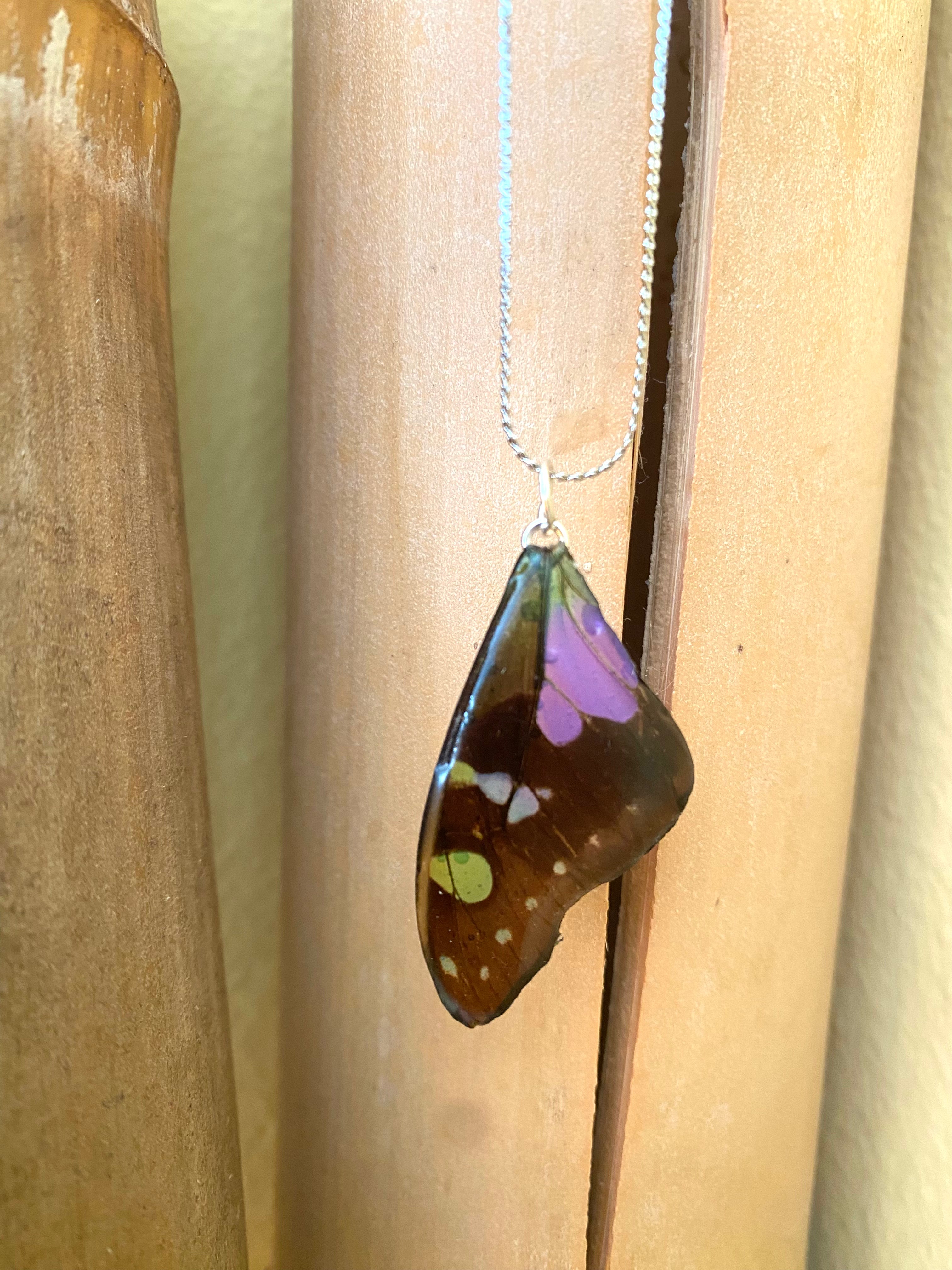 Chaine et Pendentif papillon véritabe noir/violet