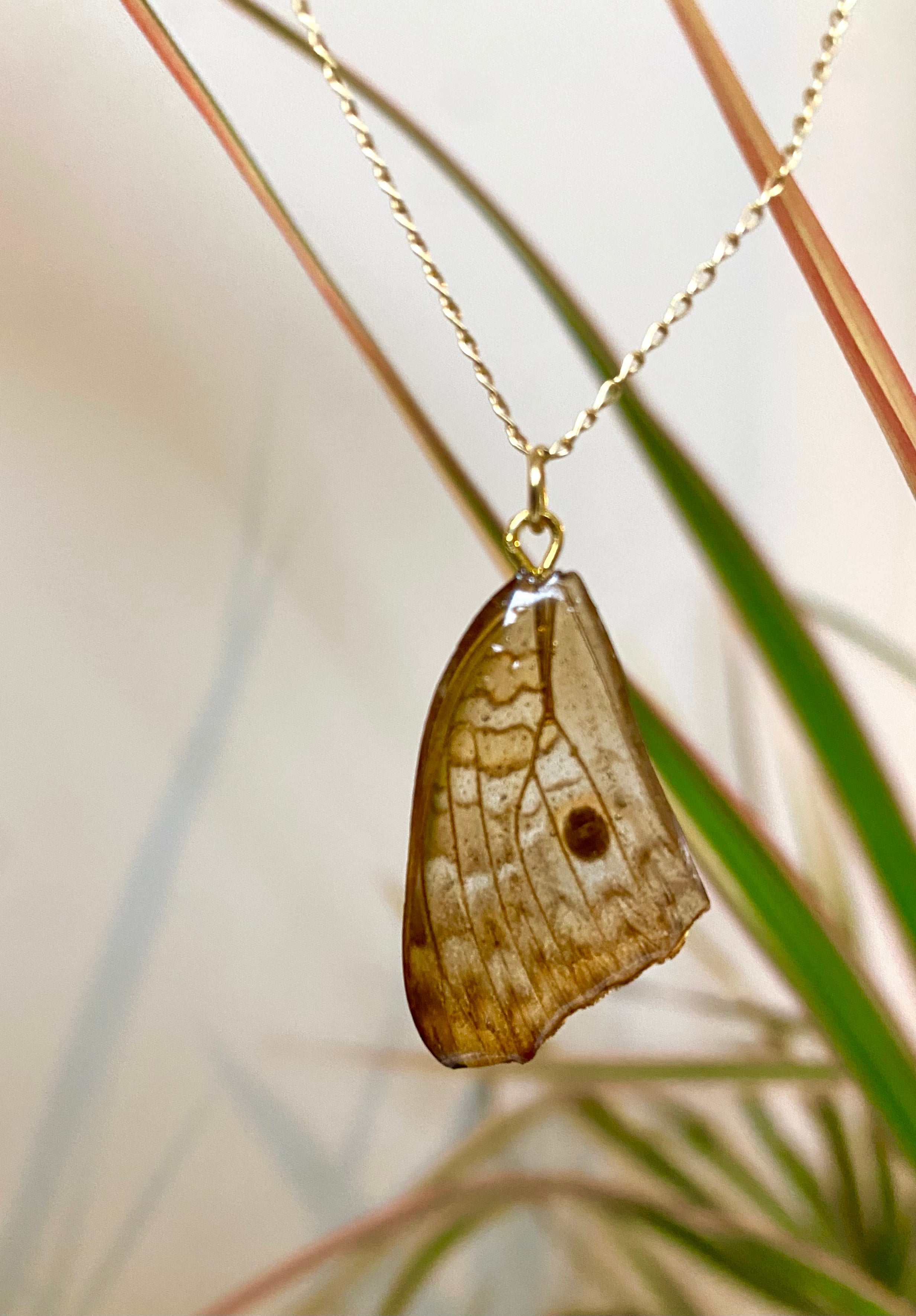 Chaine et Pendentif papillon véritable tigré