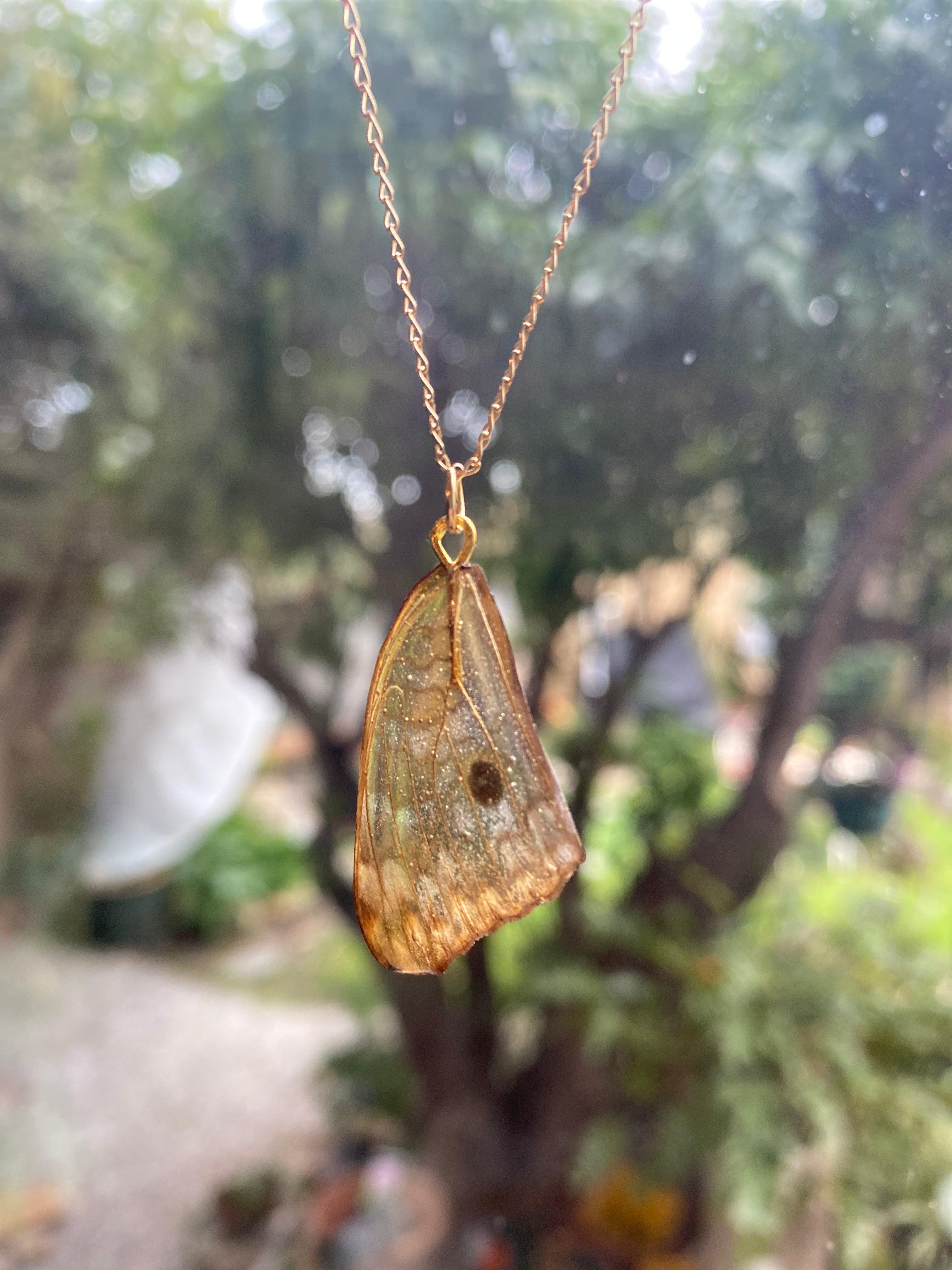 Chaine et Pendentif papillon véritable tigré