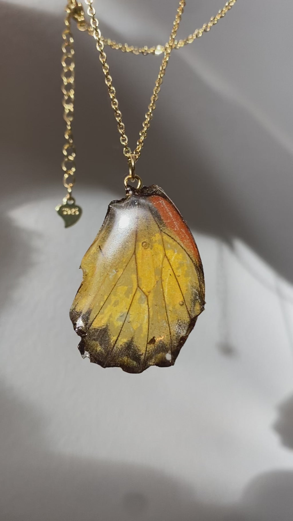 Chaine et Pendentif papillon véritable jaune-orangé