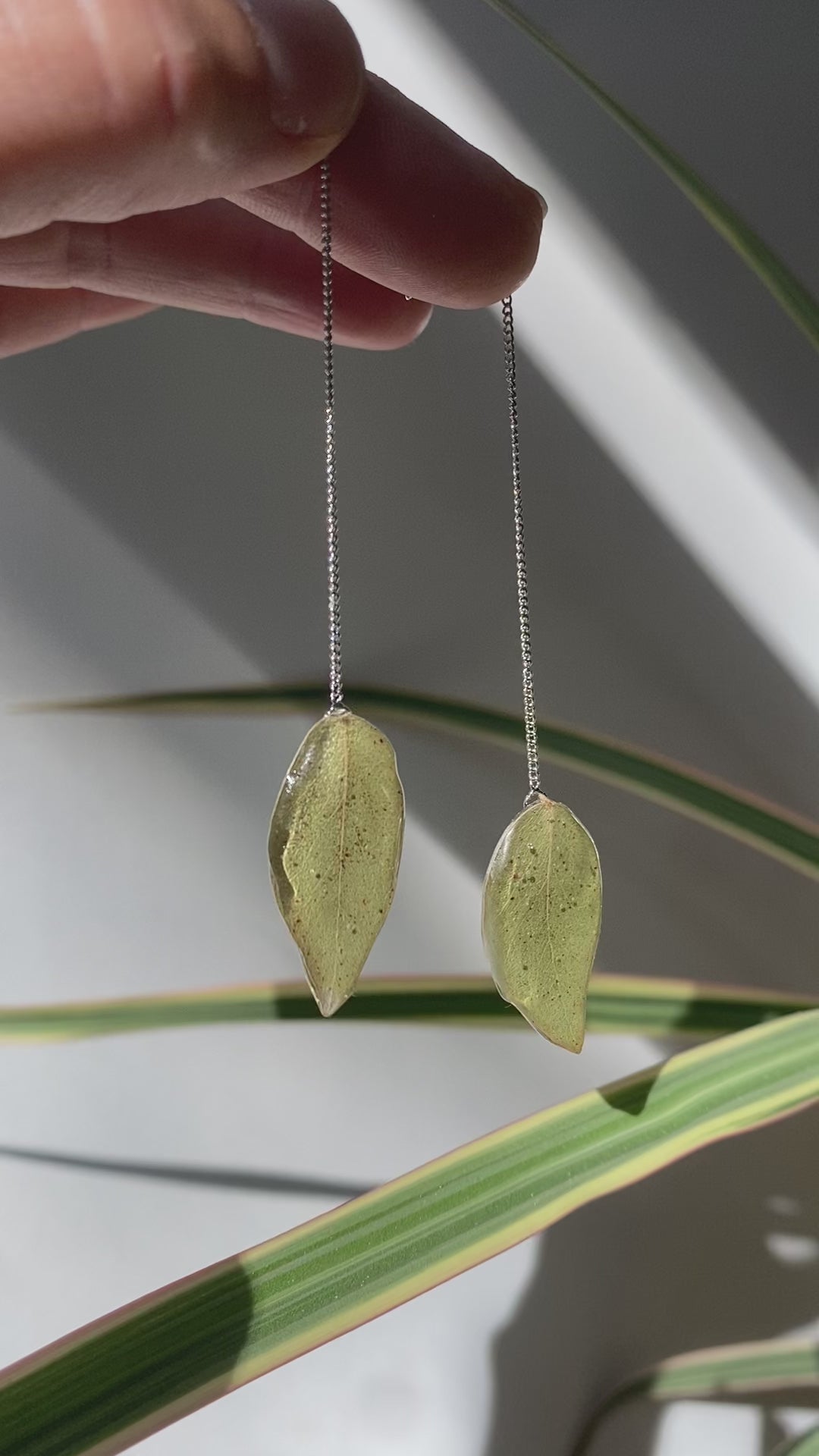 Chaine d'oreille feuille eucalyptus