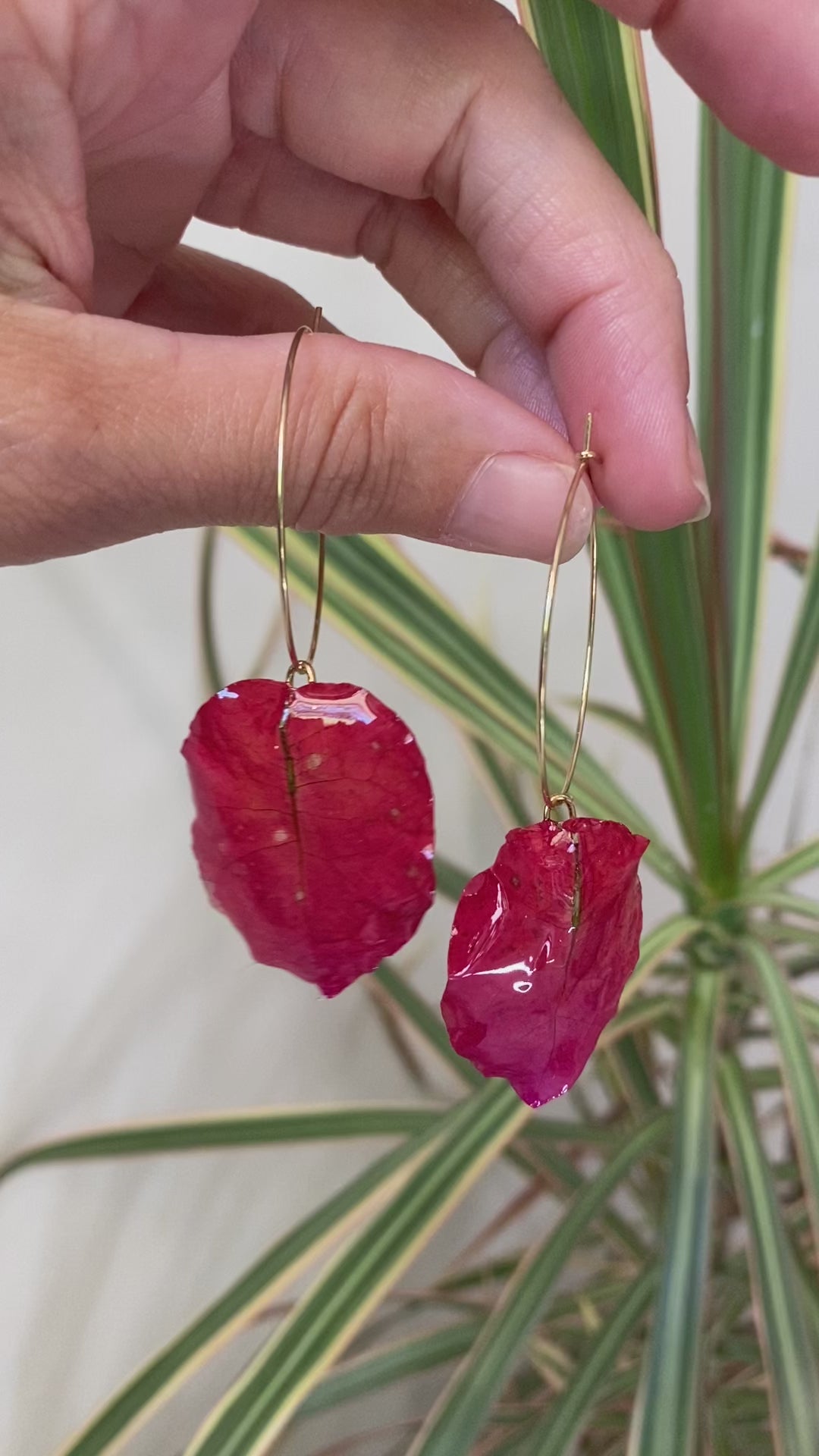 Créole Bougainvillier rouge