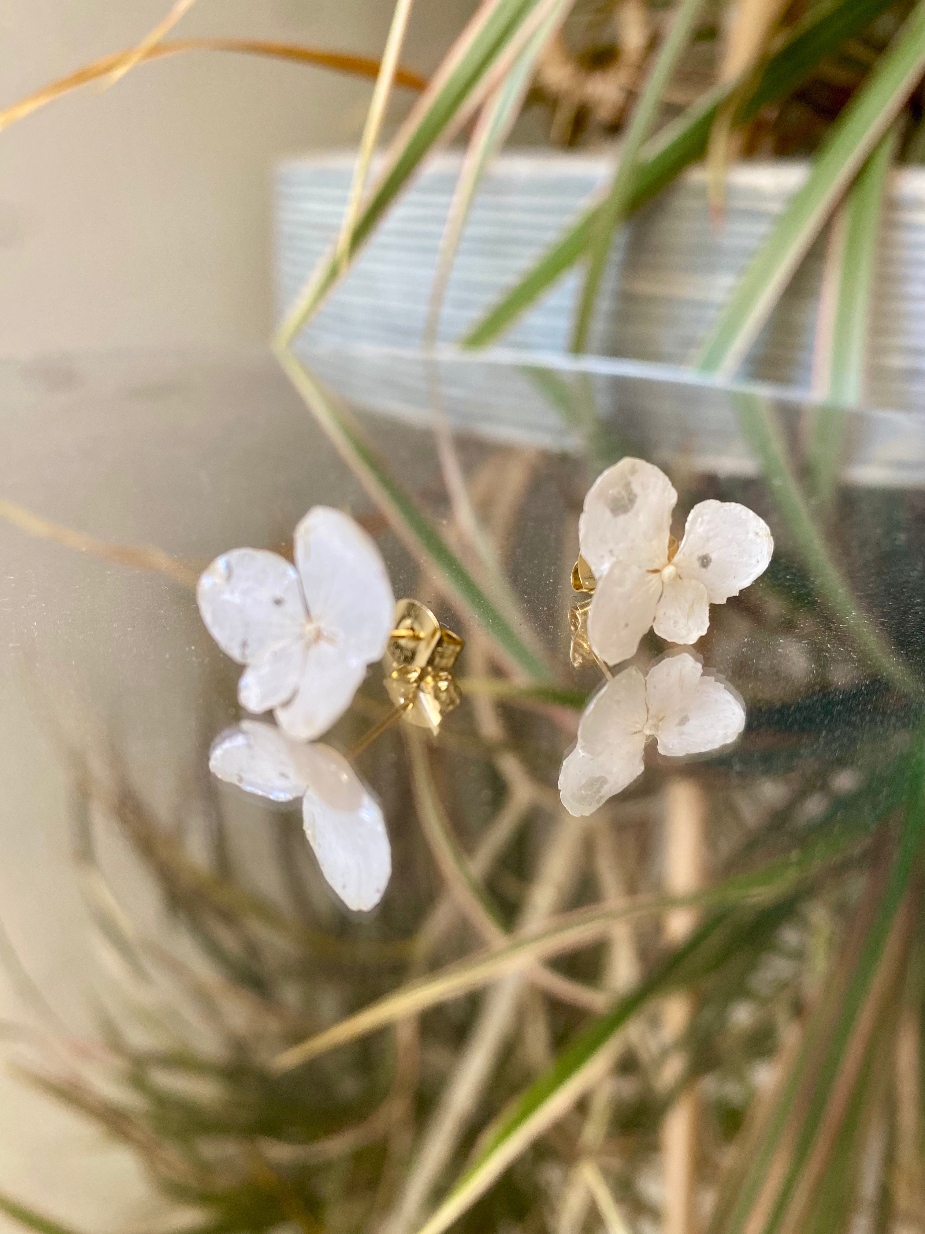 Puces d'oreilles fleur Hortensia blanc